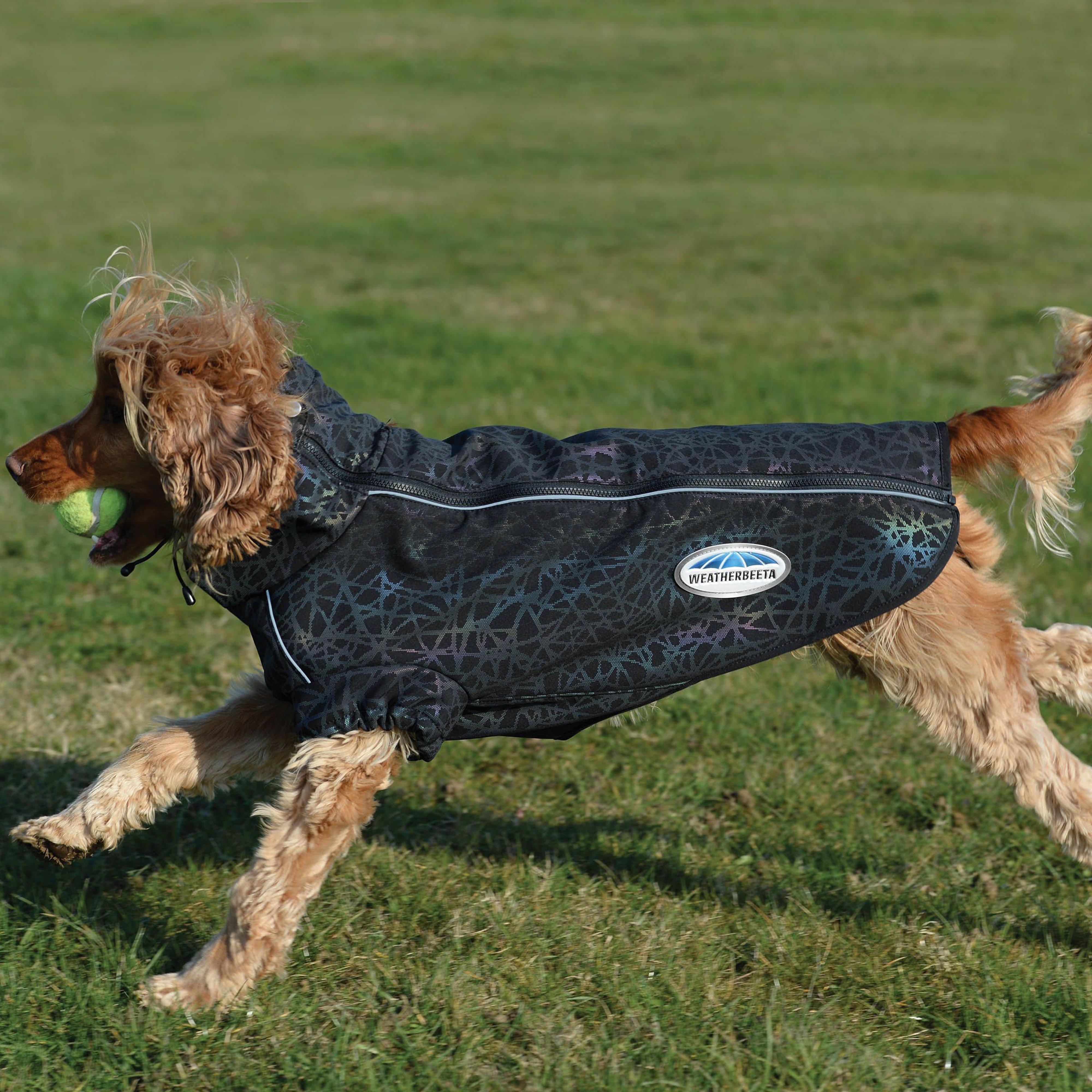 Comfitec Reflective Print Active Dog Coat