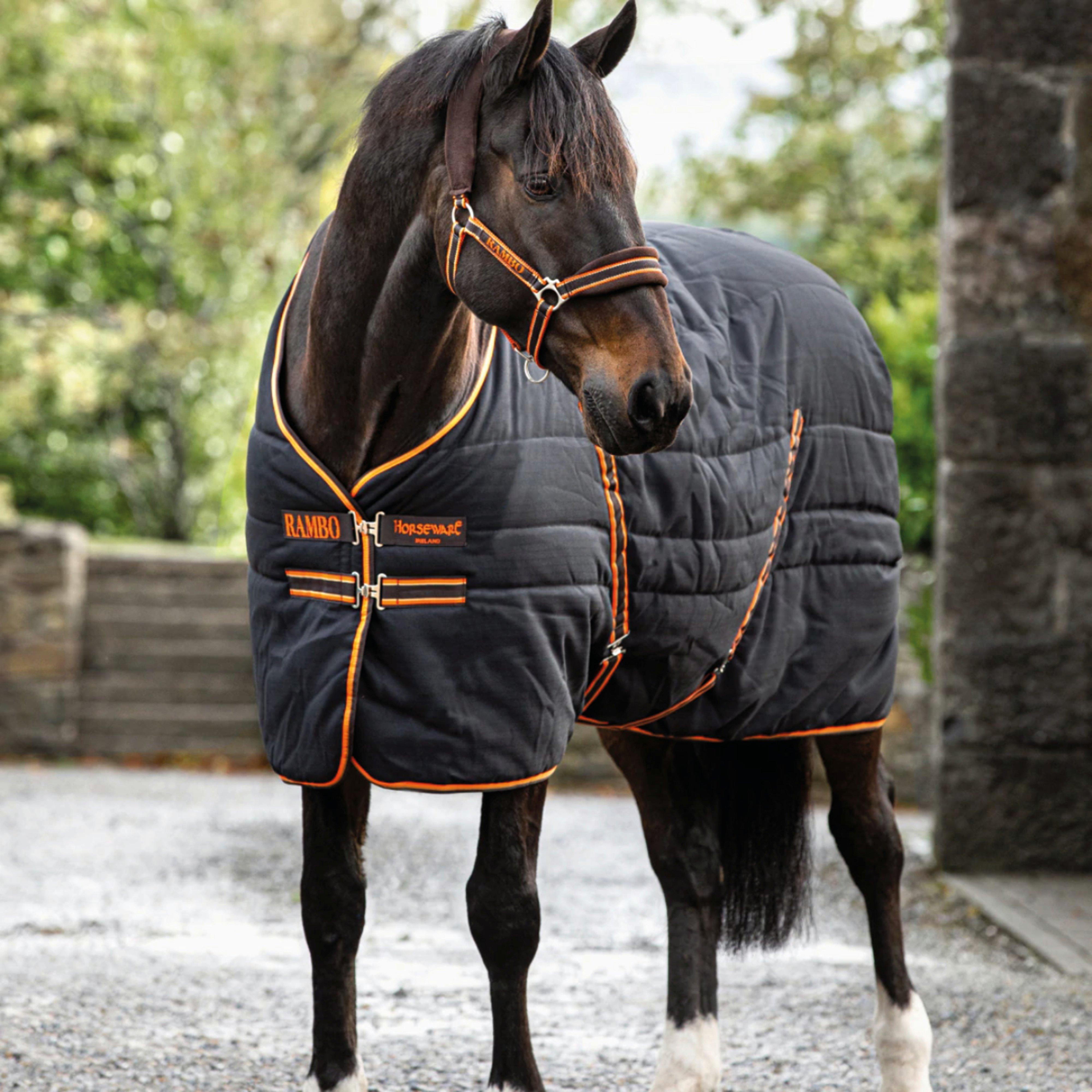 Stable Rug - 200g