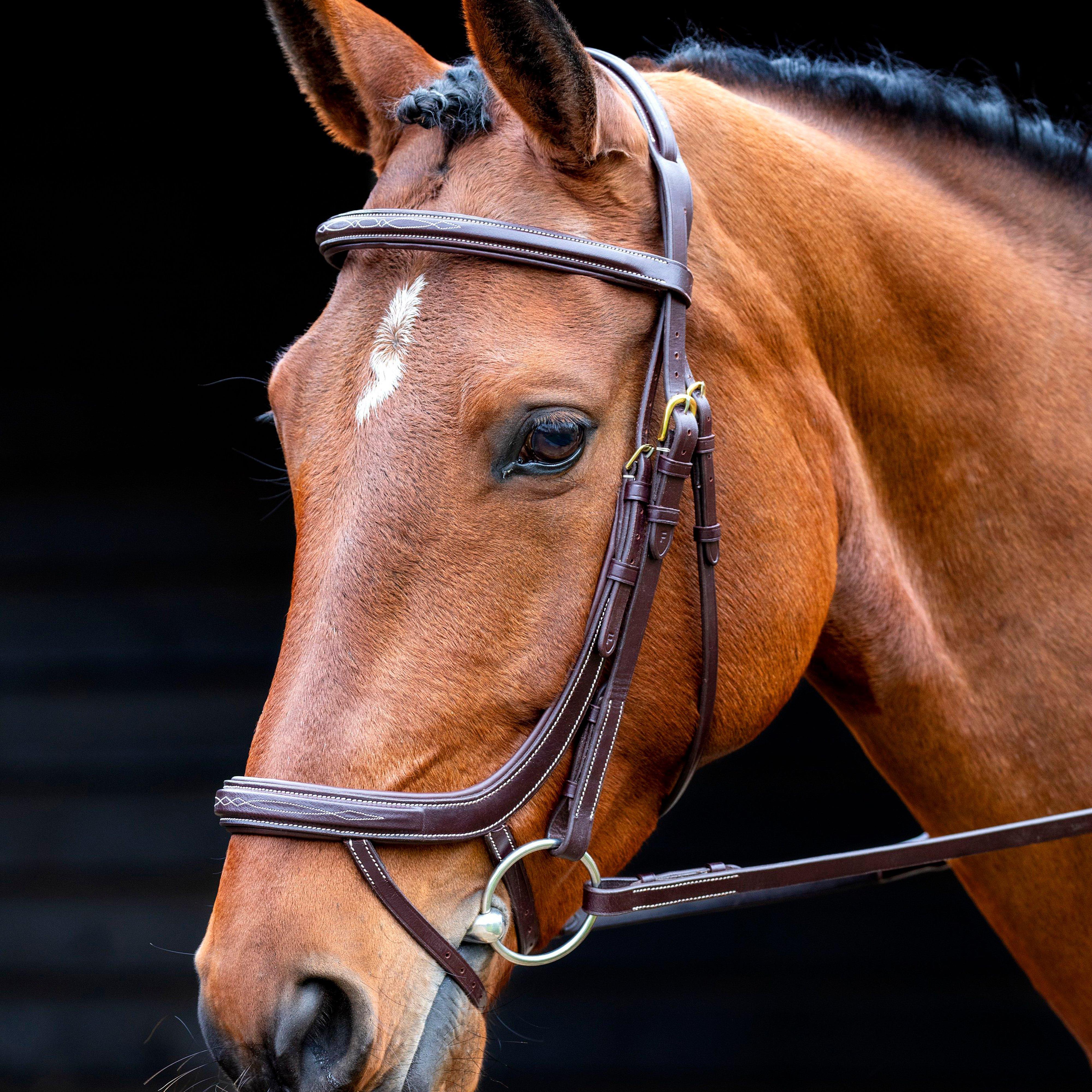 Salisbury Buckingham Bridle