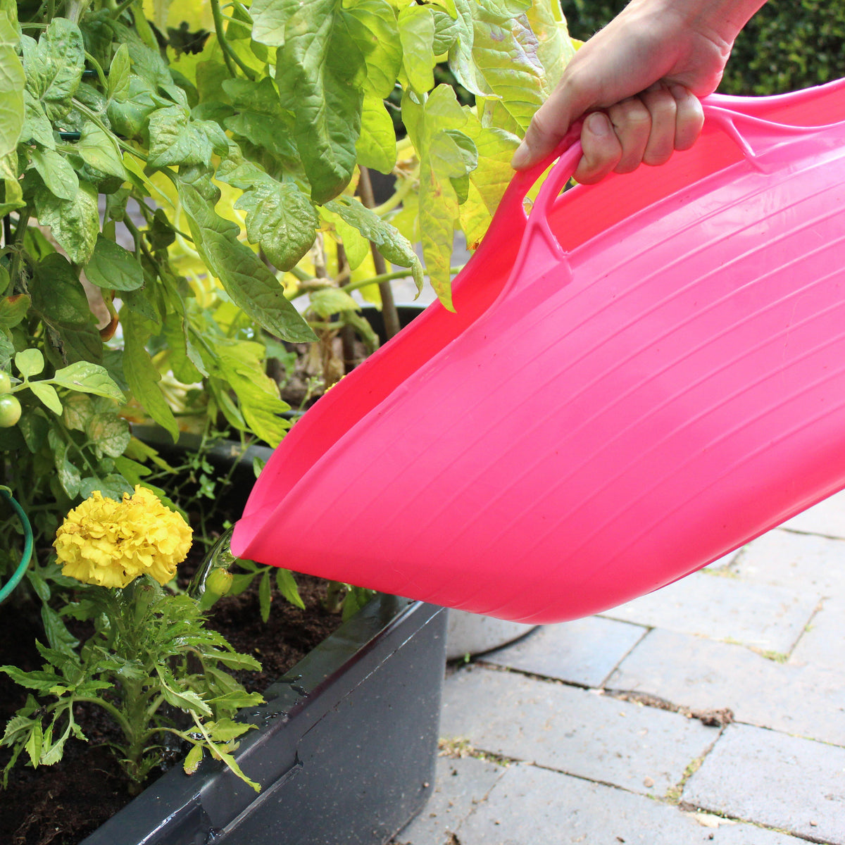 Flexible Shallow Tub (Mini)