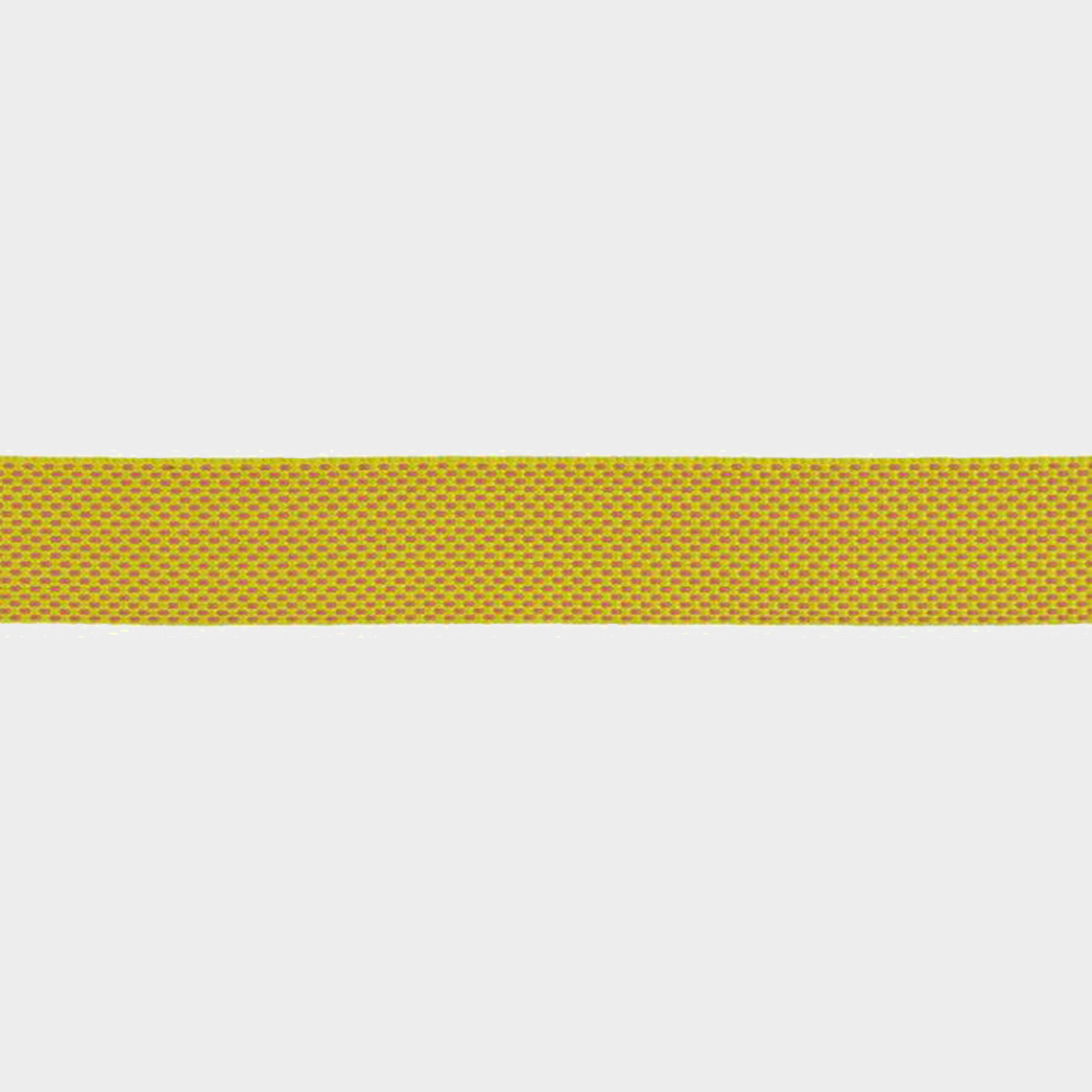 Flagline Dog Lead Lichen Green