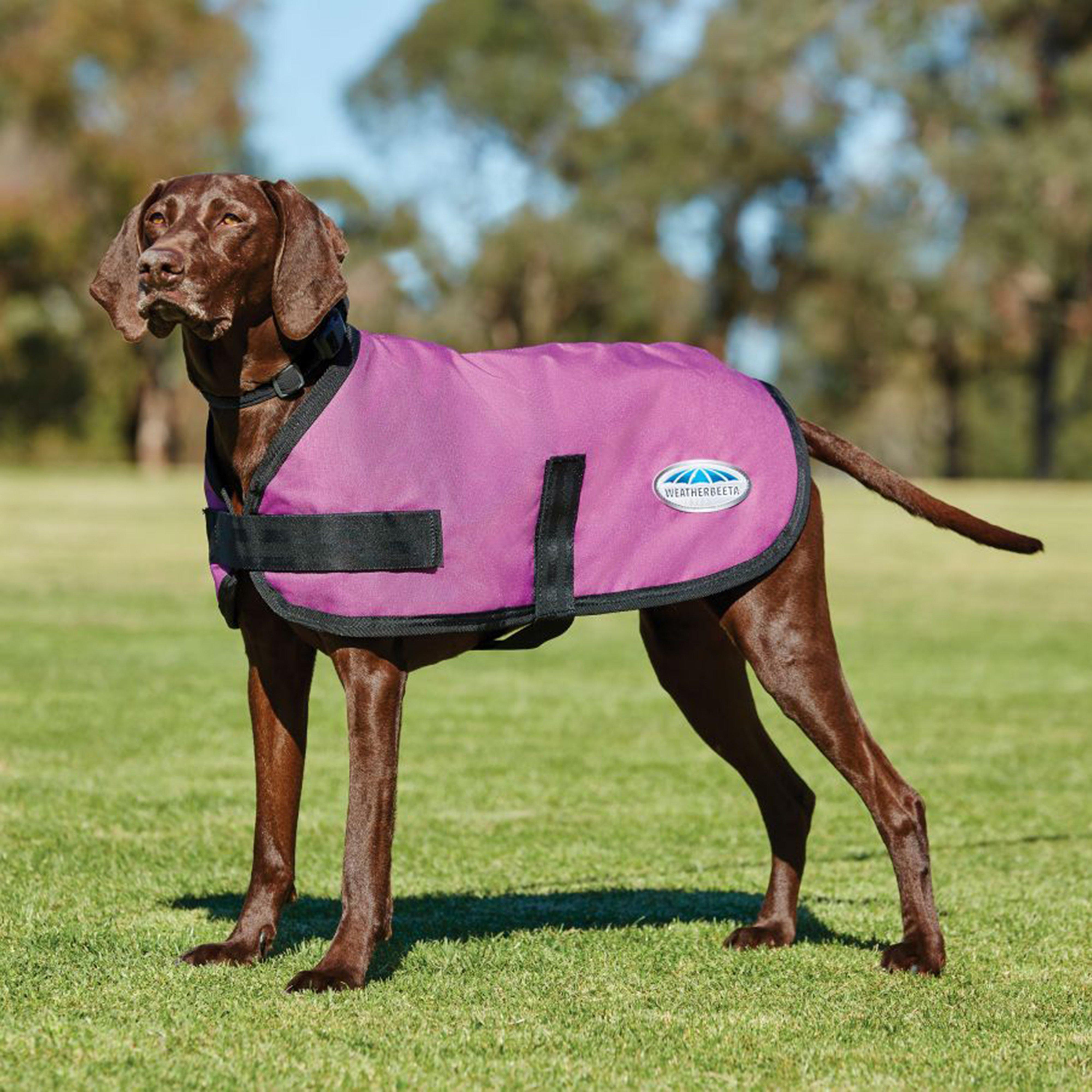 ComFiTec Classic Dog Coat
