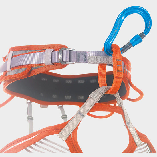 Nitro Lock Carabiner