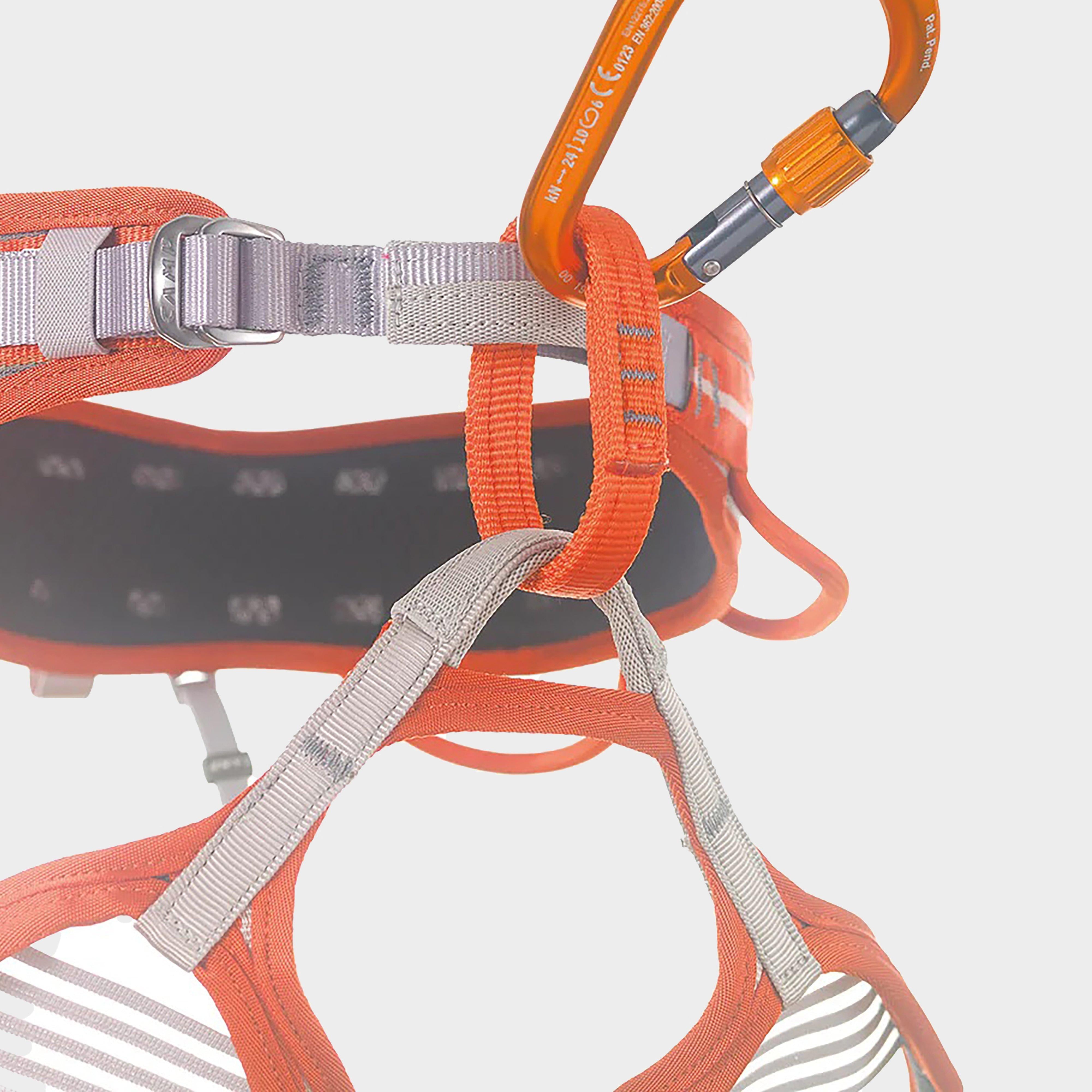 Core Lock Carabiner