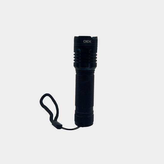 350 Lumen Torch