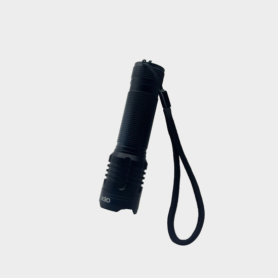 350 Lumen Torch