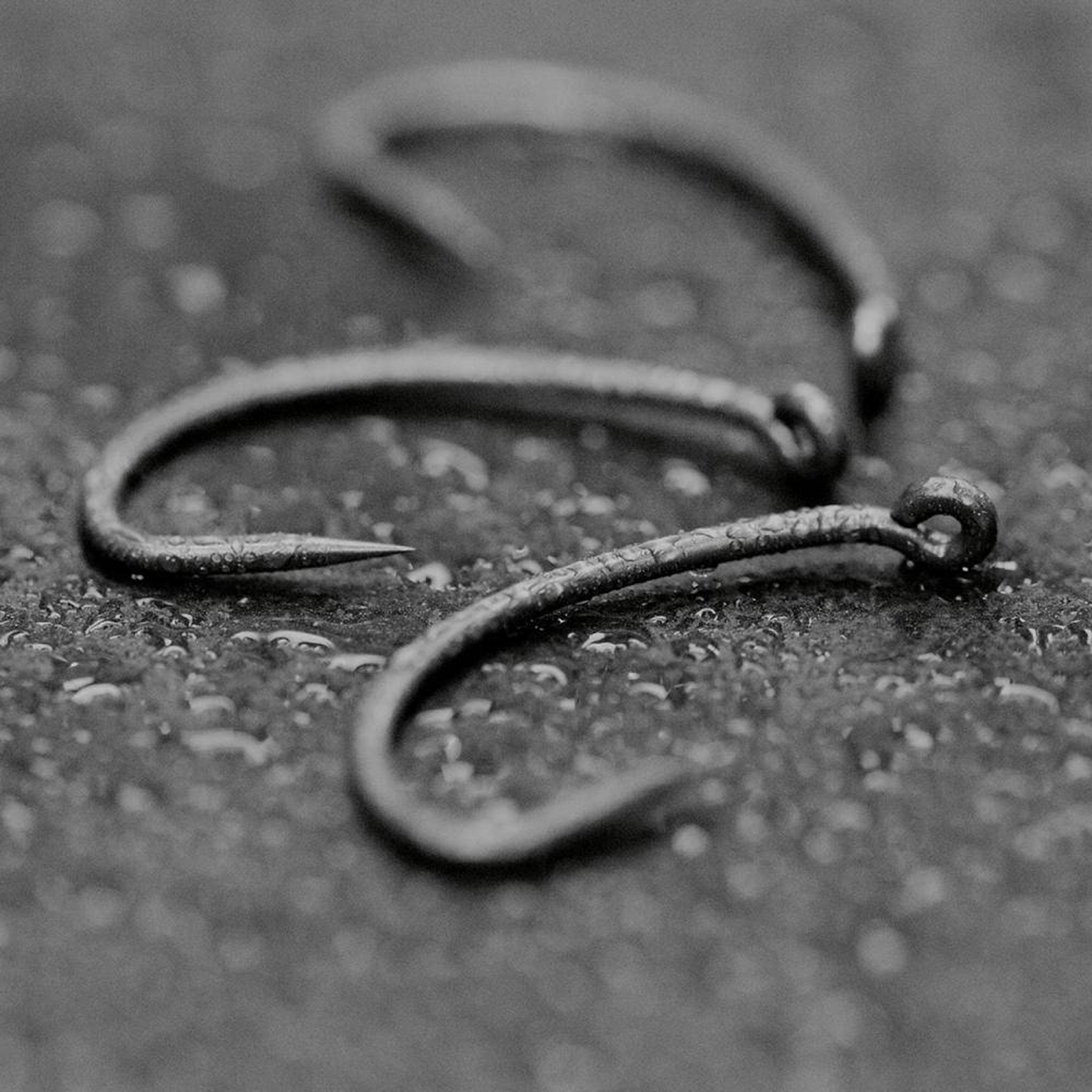 Curve Shank Hook Size 7 (Barbless)