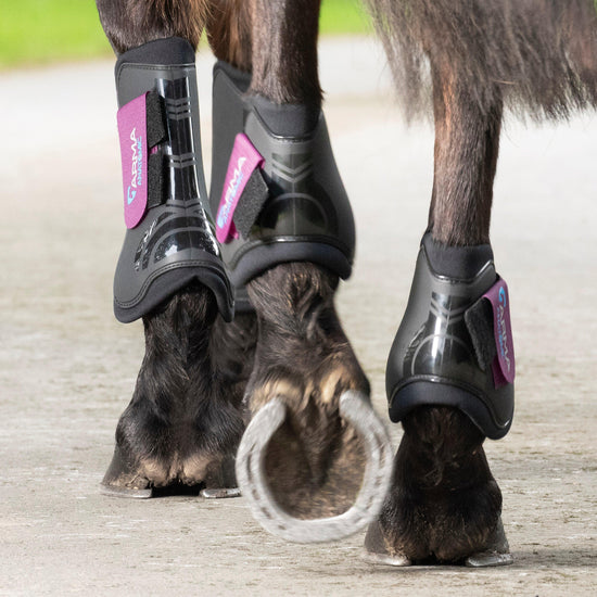 Tendon Boots Teal Pony