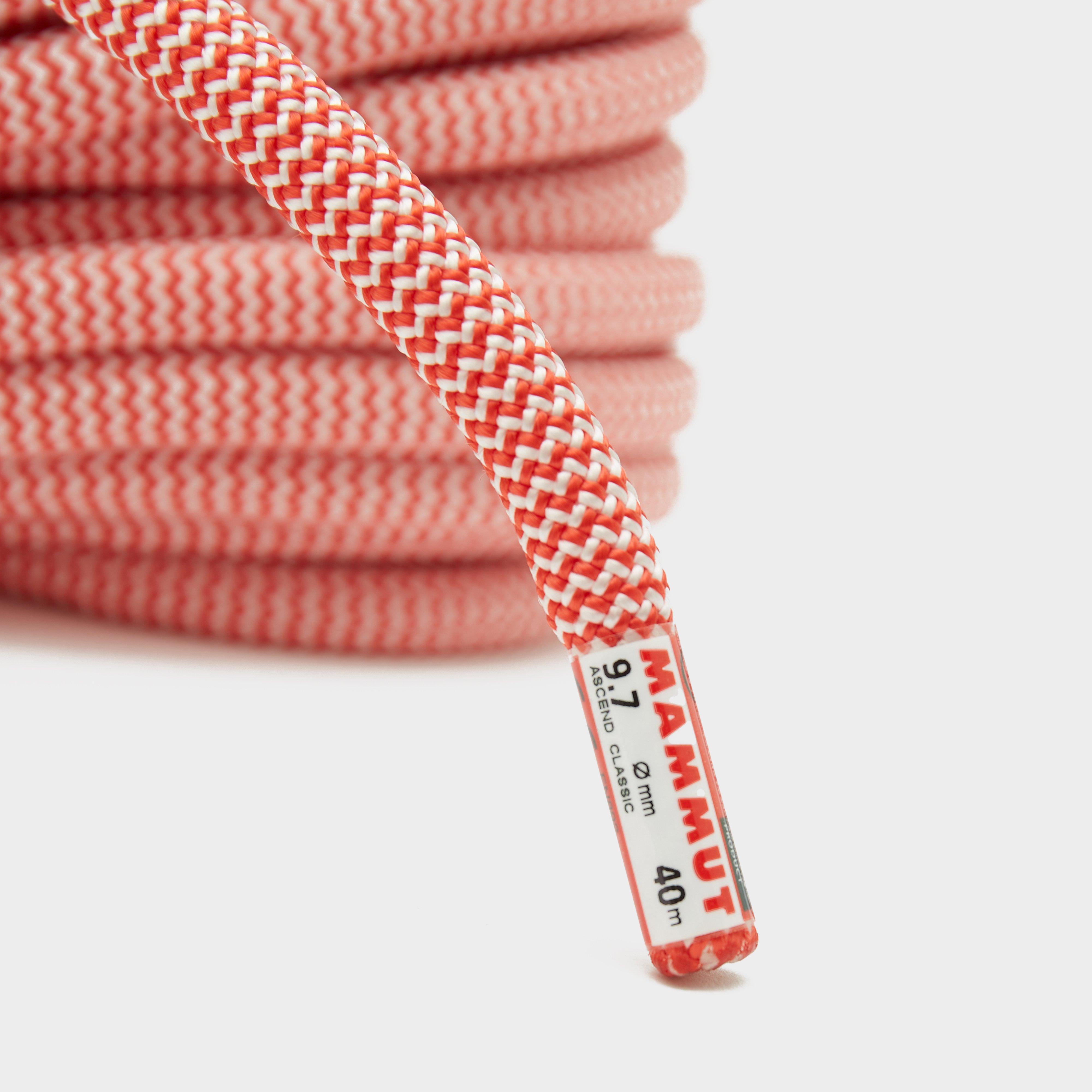 9.7mm Ascend Classic Rope 40m