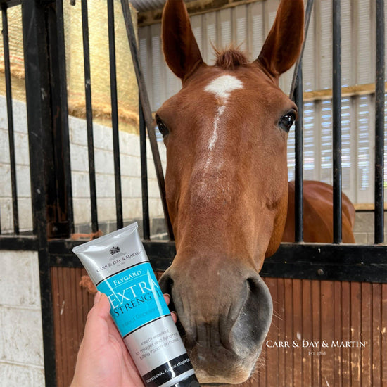 FLYGARD® Extra Strength Gel 250ml