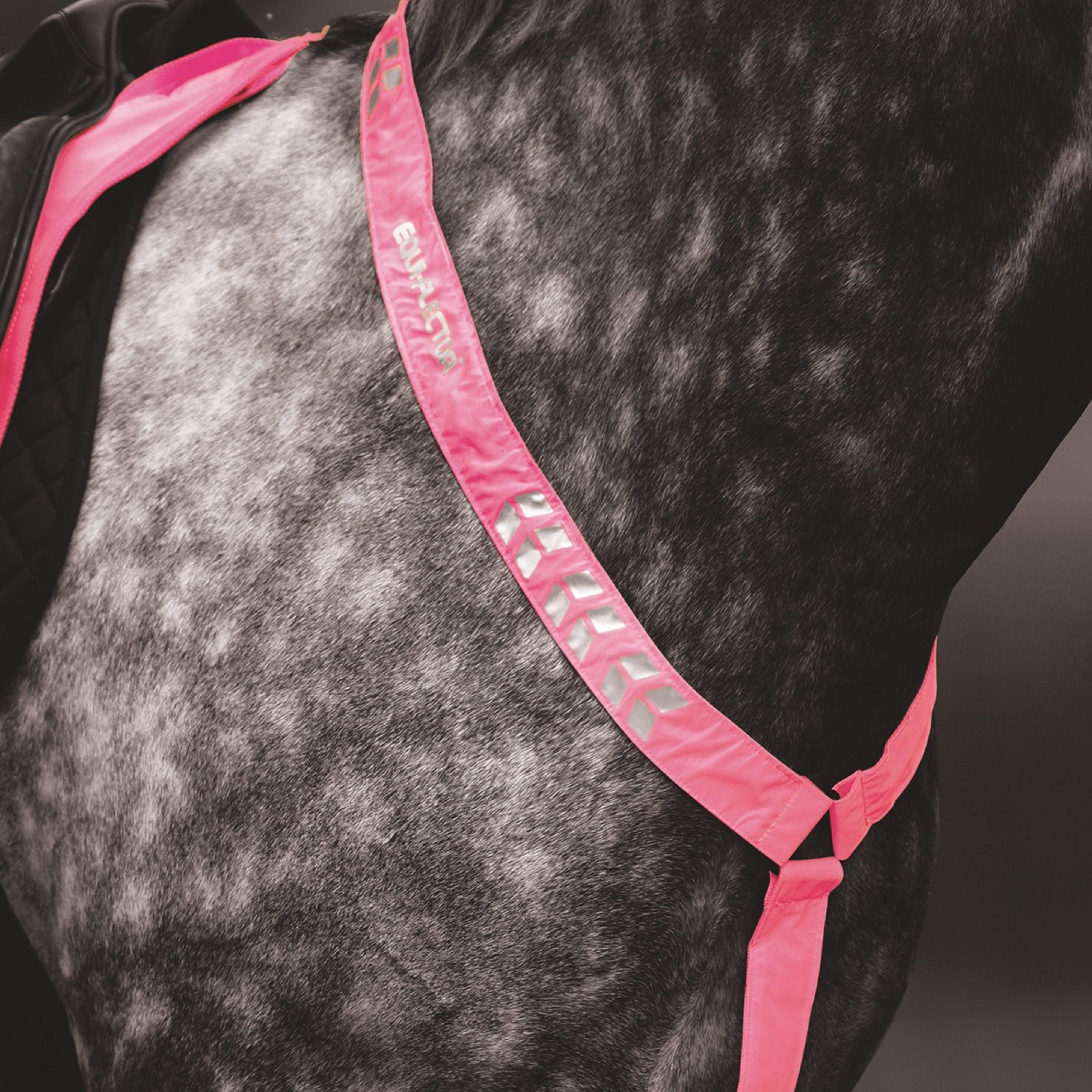 Breastplate Pink