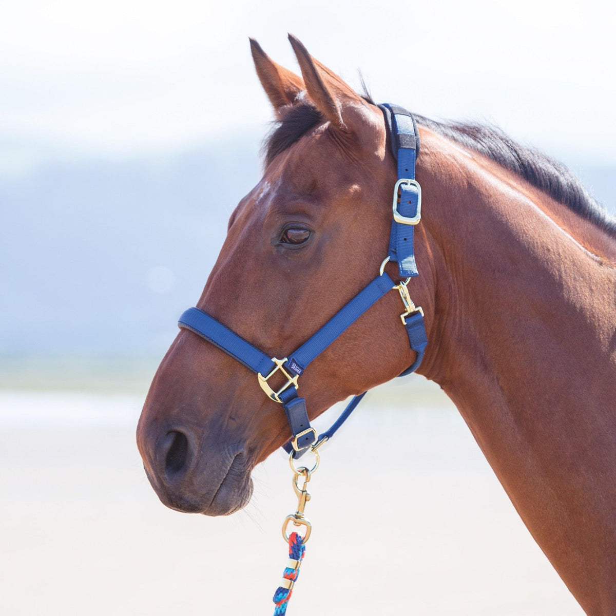 Topaz Nylon Headcollar Navy