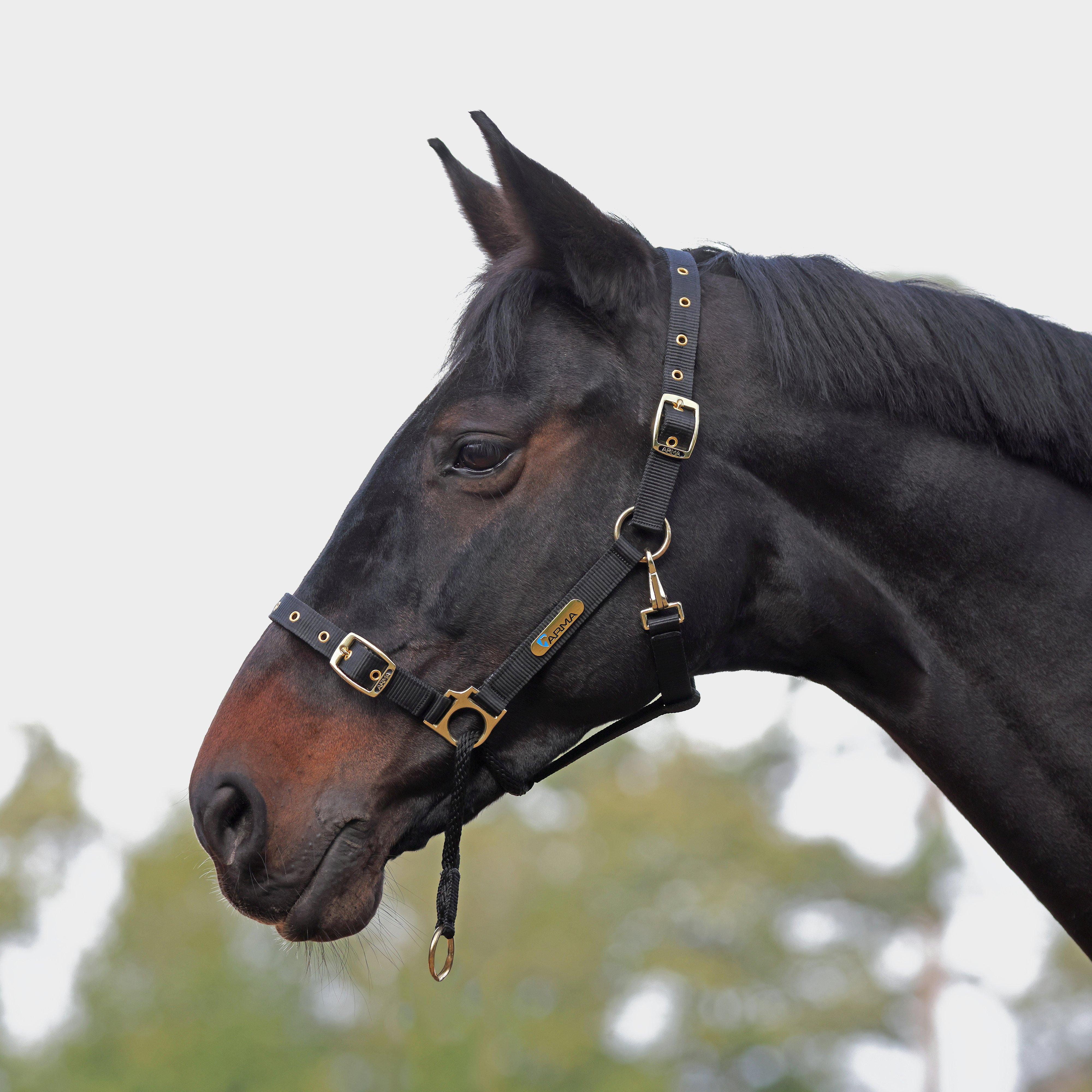 Control Headcollar Black