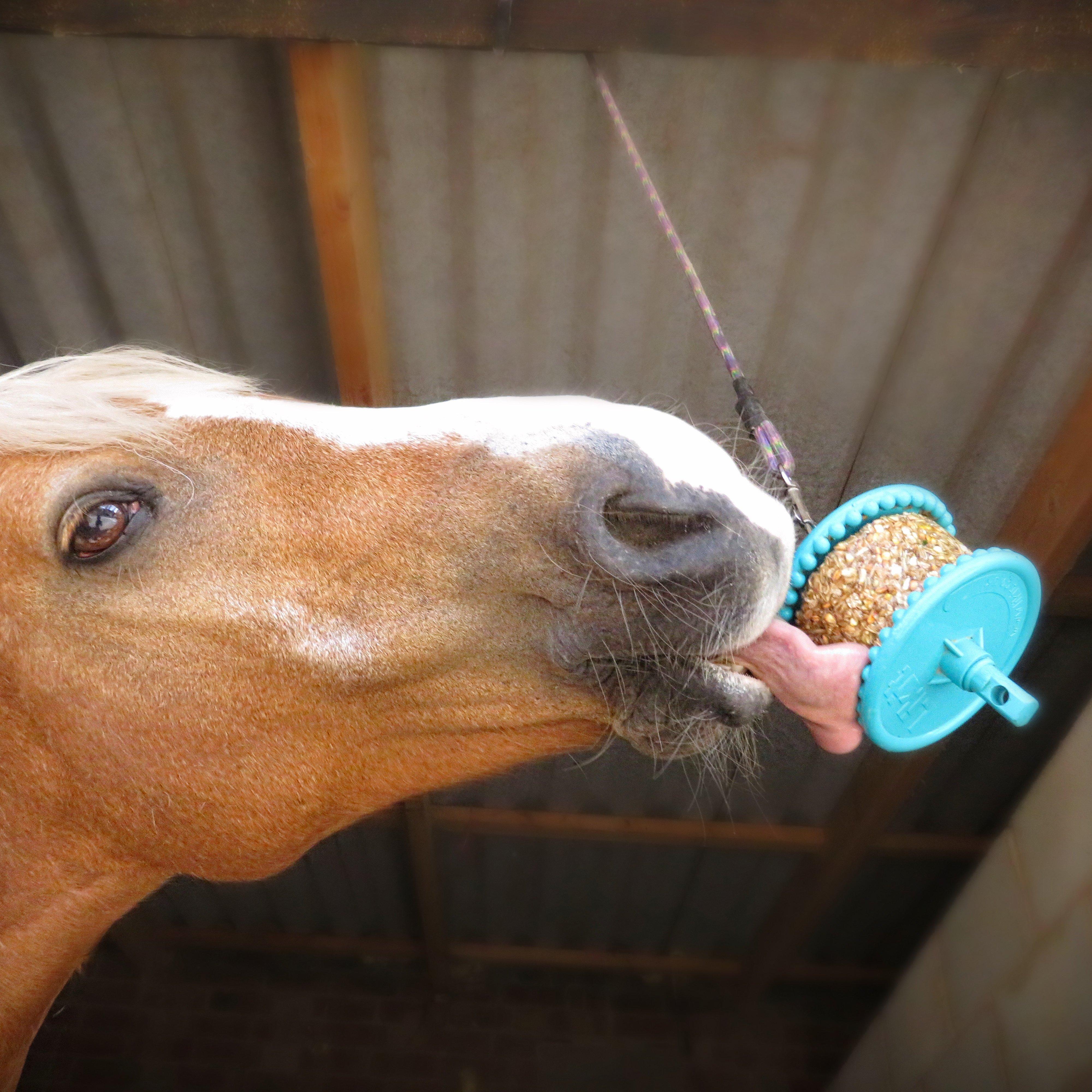 Granola Peppermint 550g