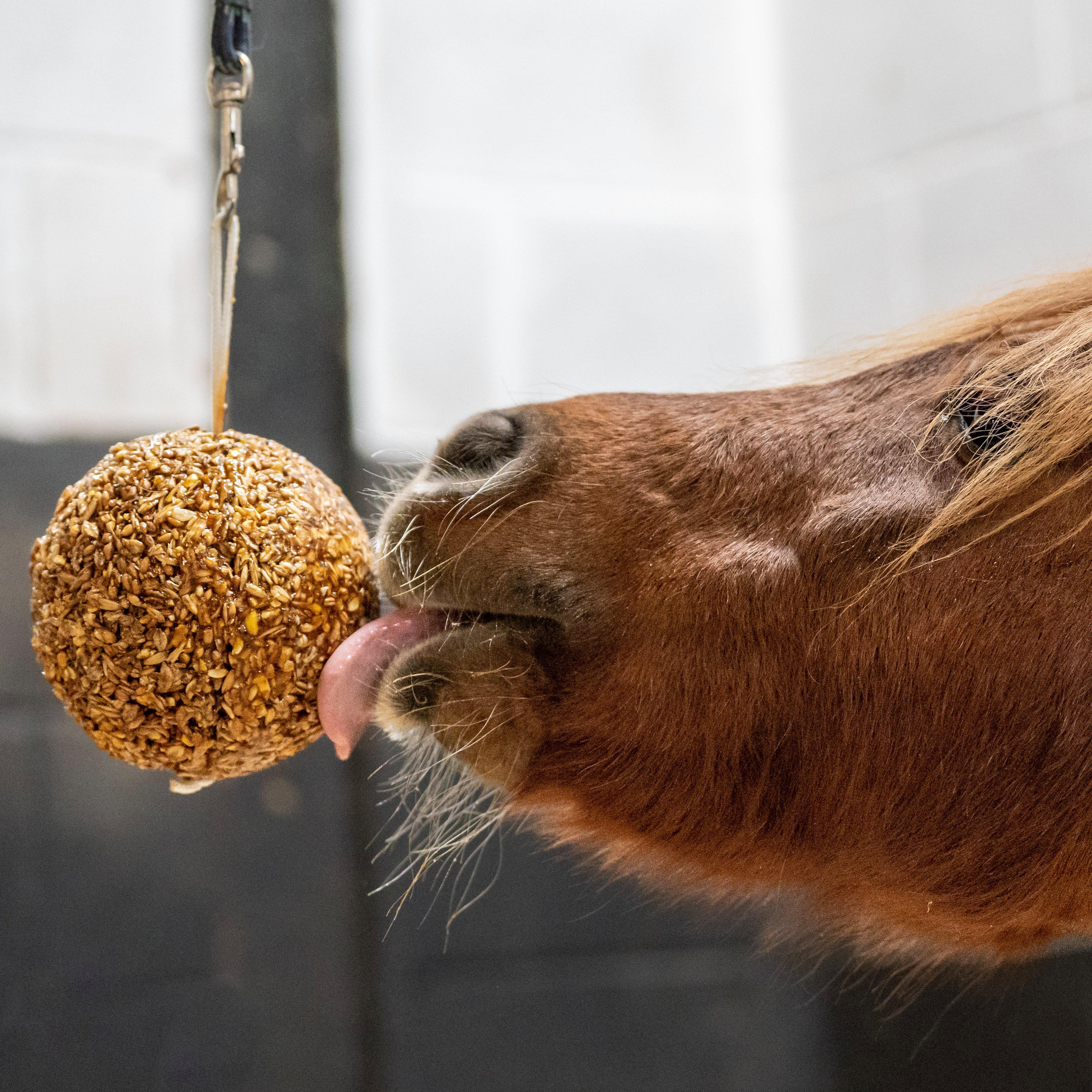 Granola Stall-Ball Peppermint 1.6KG