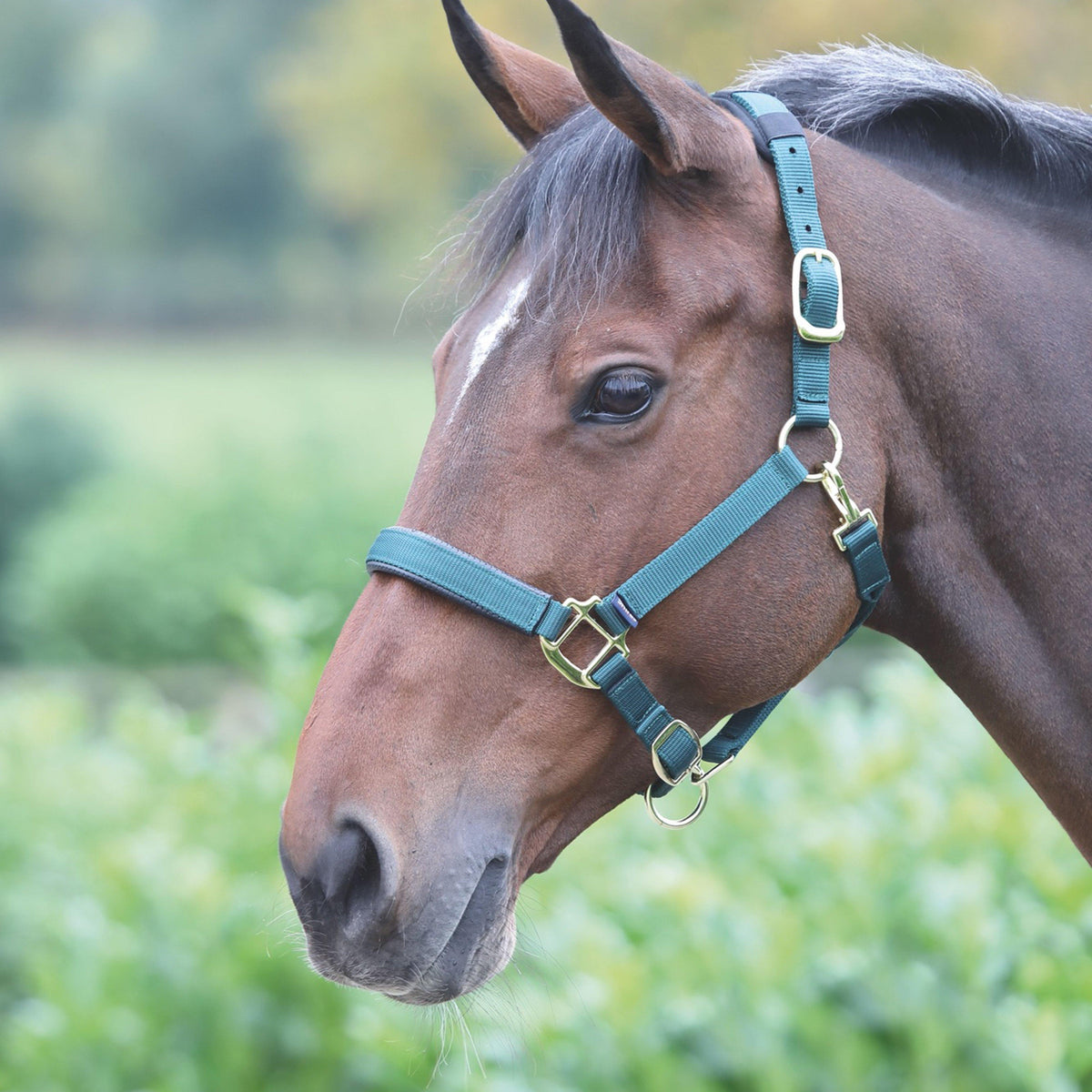 Topaz Nylon Headcollar Dark Green