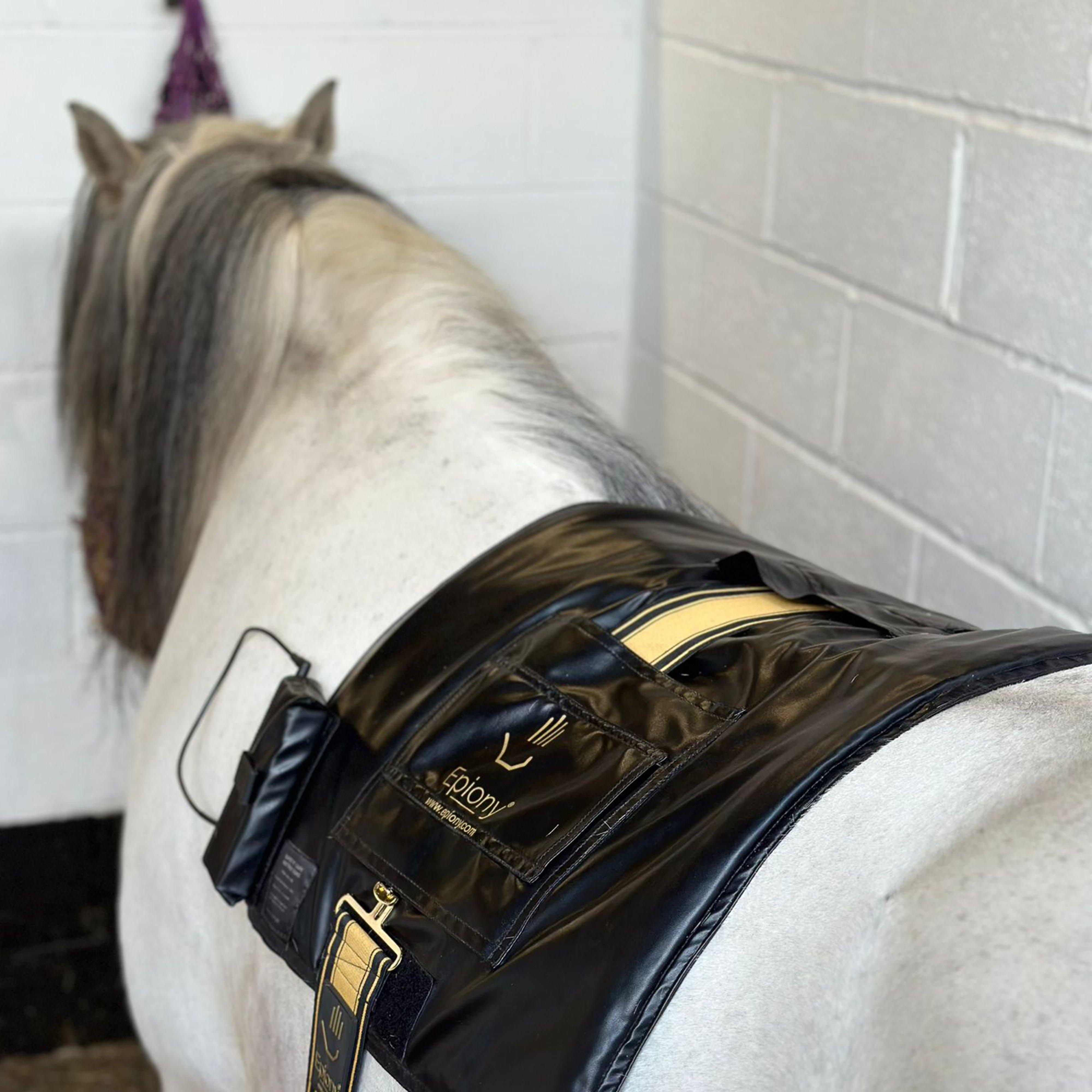 Heat Pad Plus