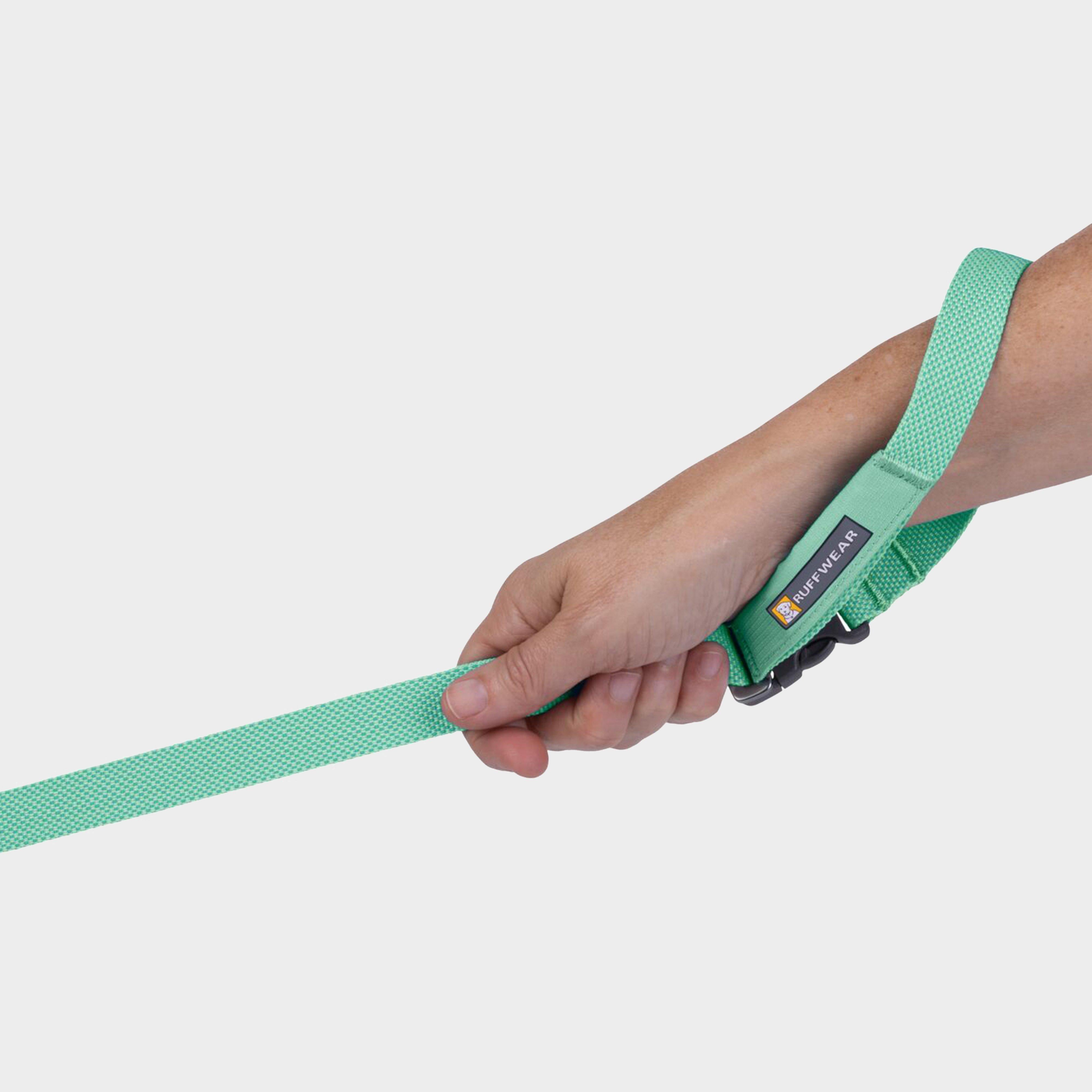 Flagline™ Dog Lead