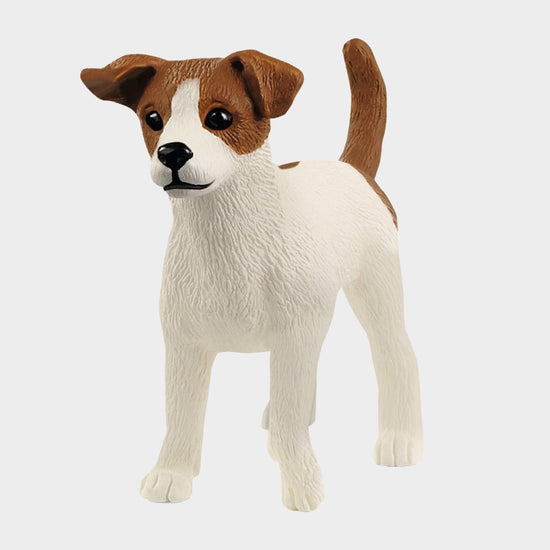 Jack Russel