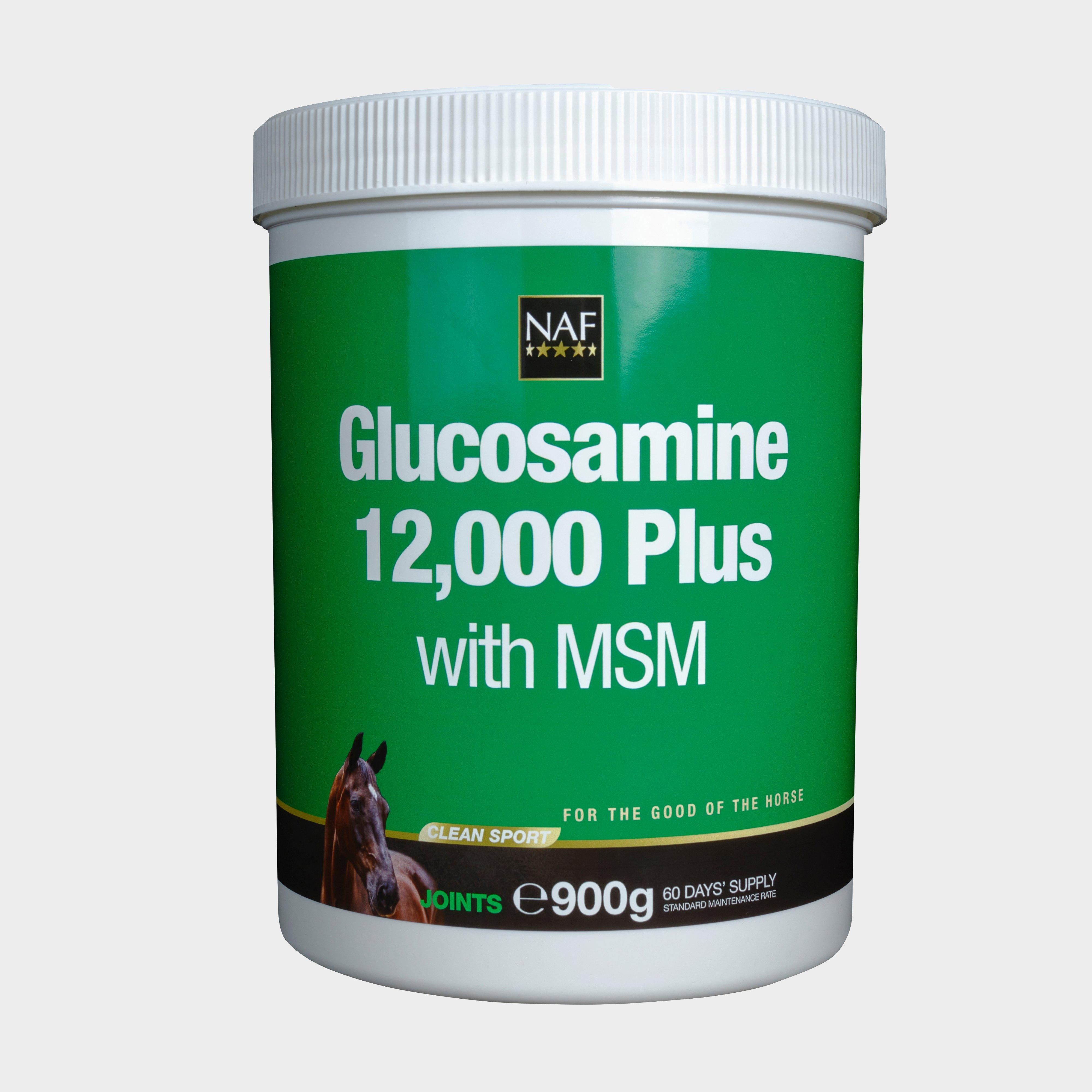 Glucosamine 12,000 Plus MSM 900g