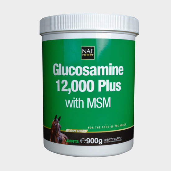 Glucosamine 12,000 Plus MSM 900g