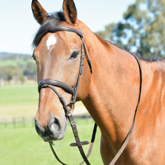 Classic Plain Raised Flash Bridle