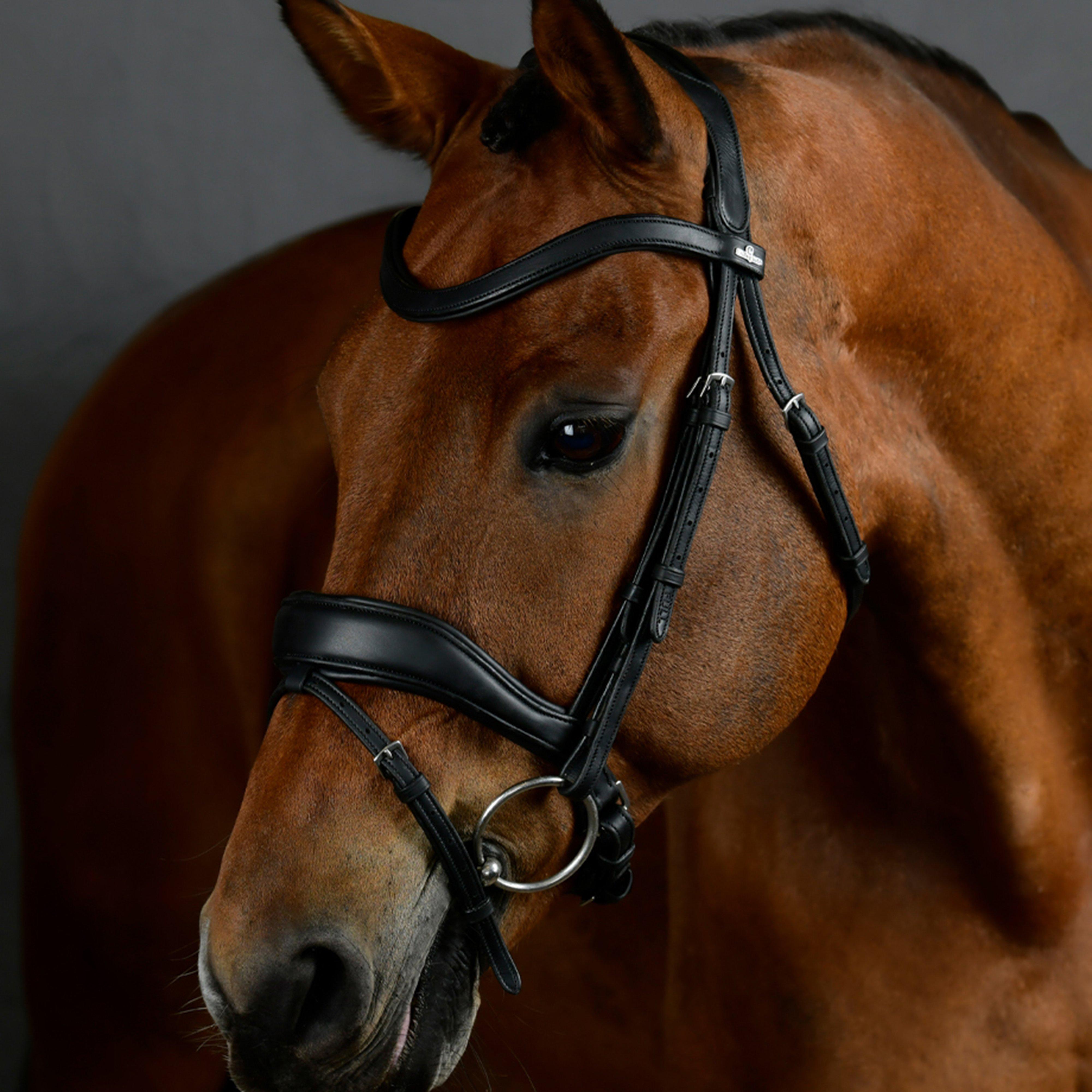 ComfiTec Softy Padded Dressage Bridle