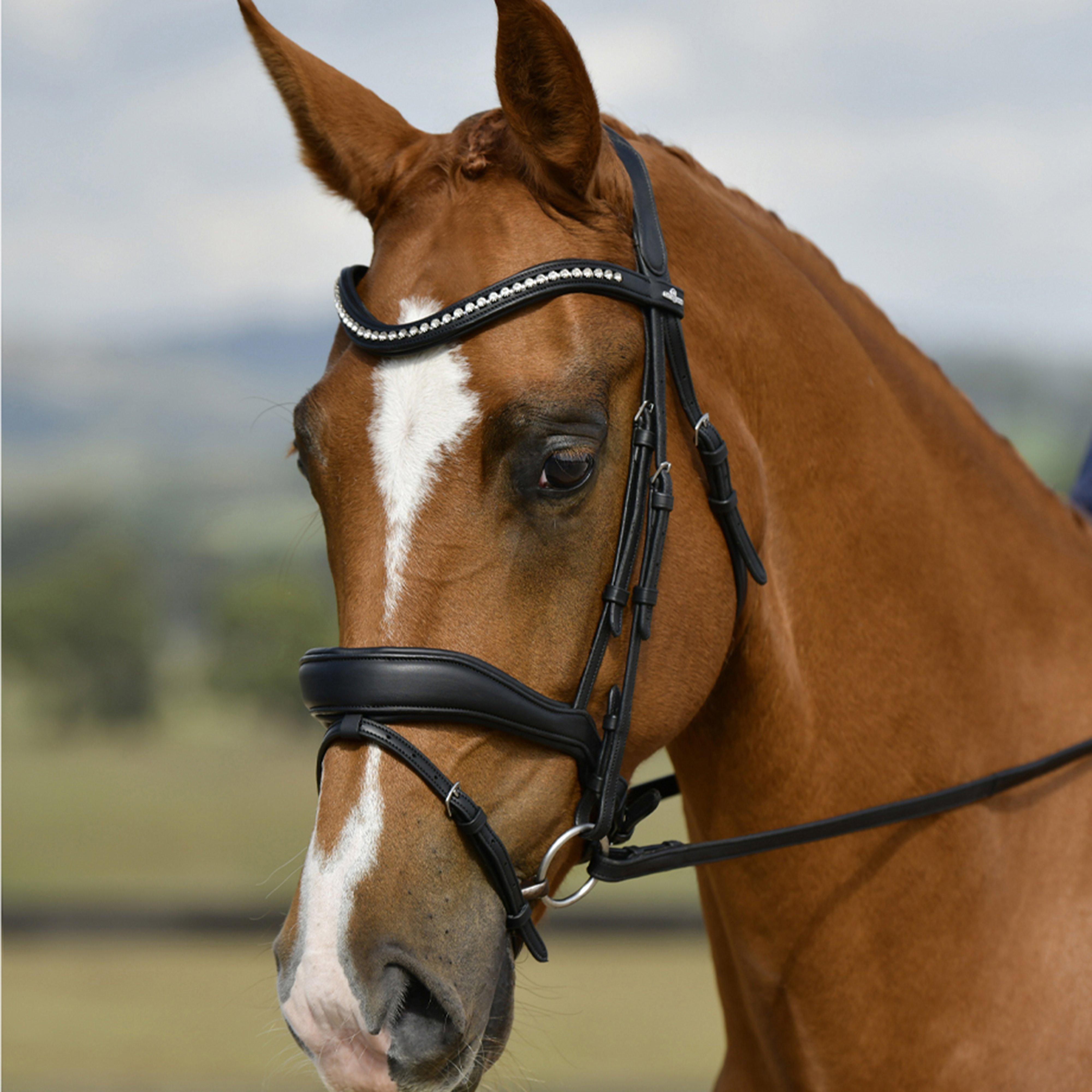 ComfiTec Softy Padded Dressage Bridle