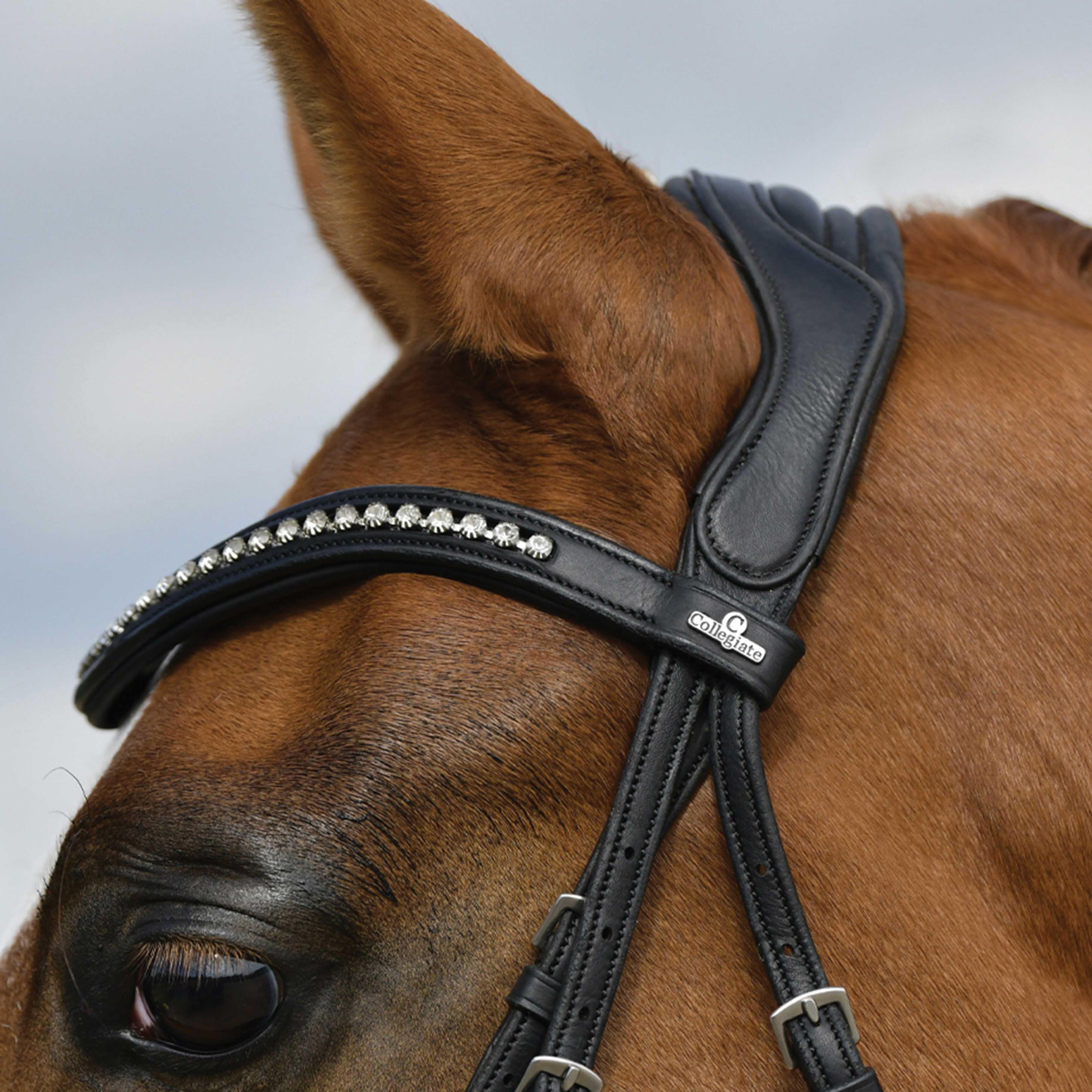 ComfiTec Softy Padded Dressage Bridle