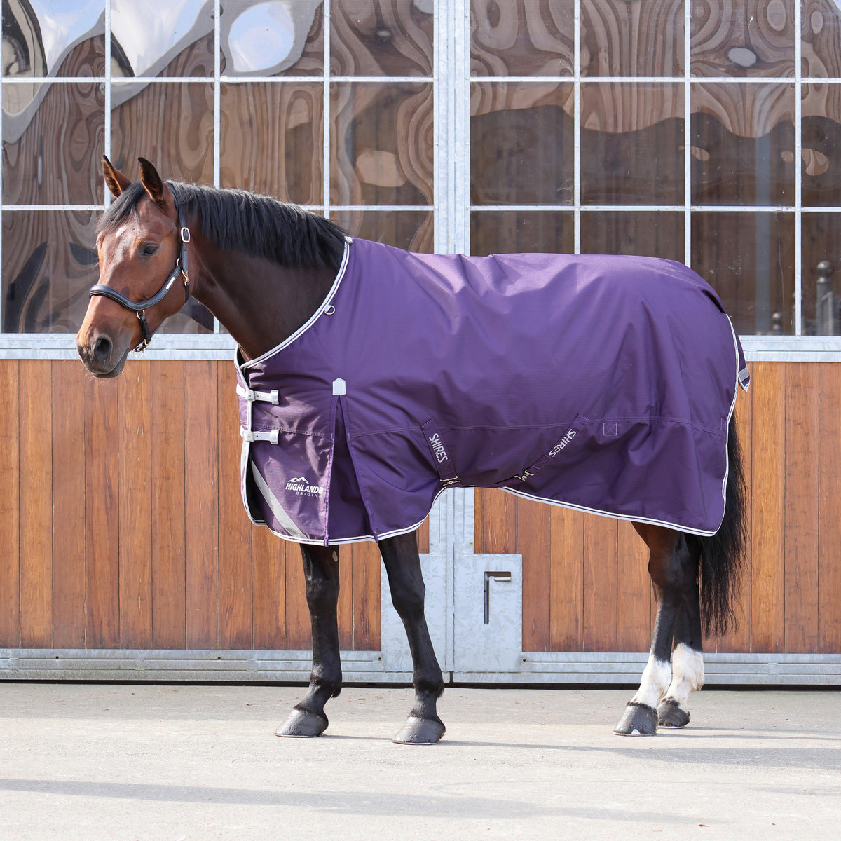 Original 100g Standard Neck Turnout Rug