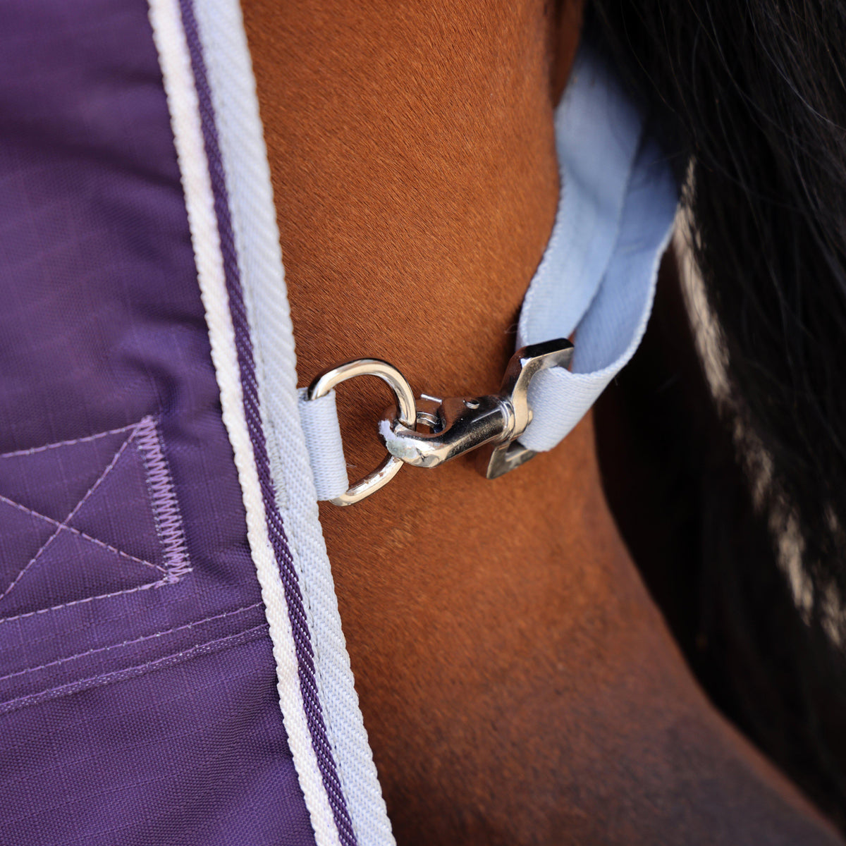 Original 100g Standard Neck Turnout Rug