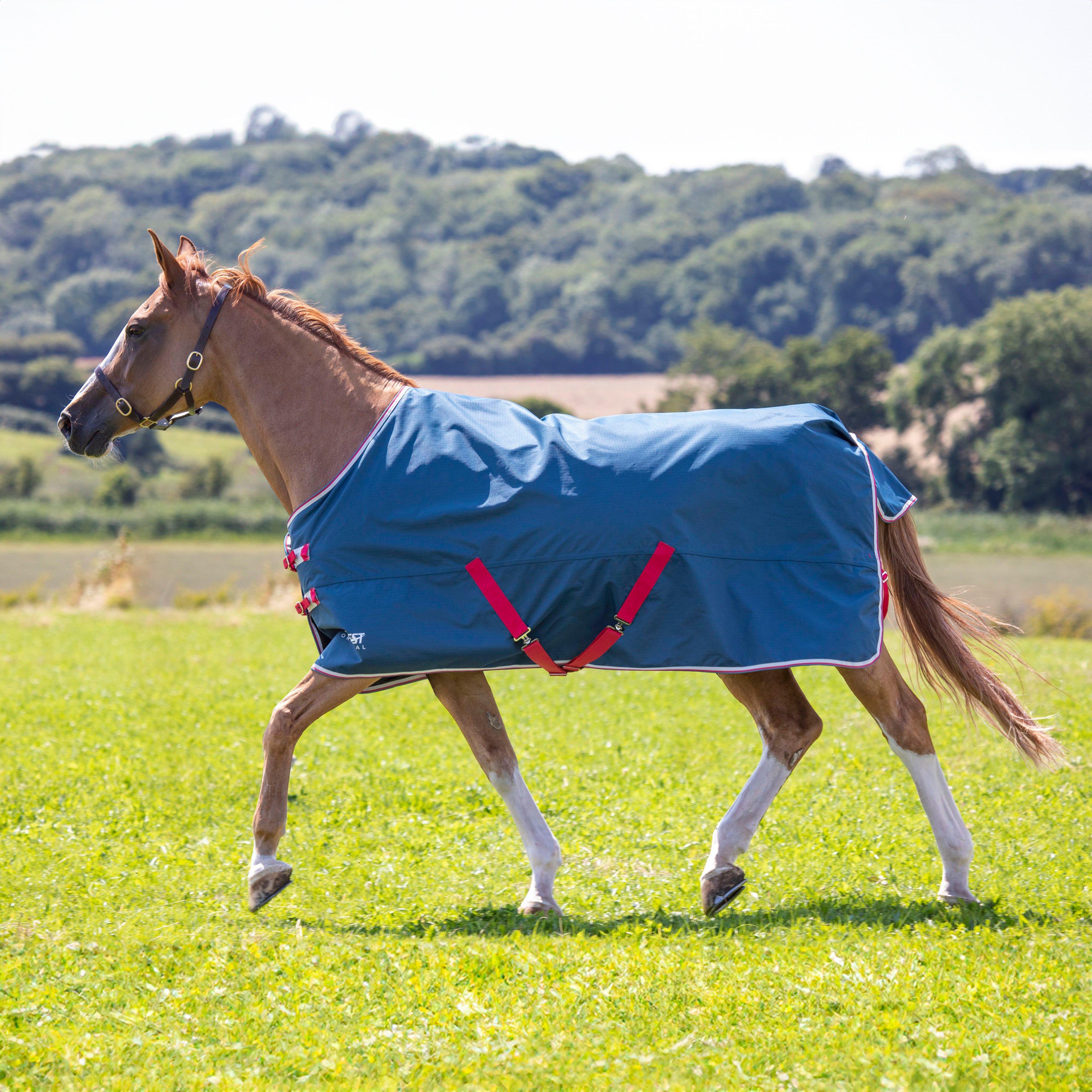 Original Lite Standard Turnout Rug