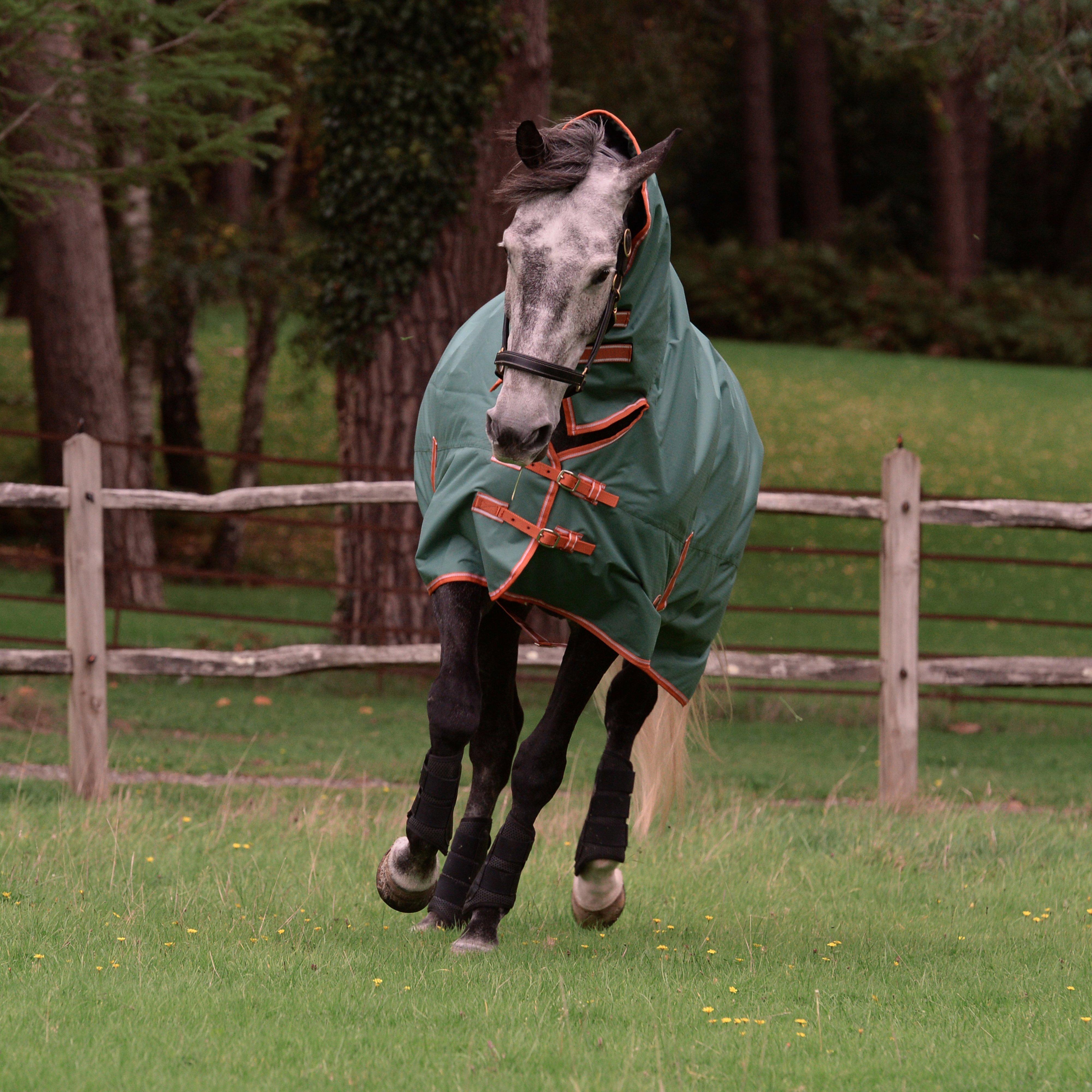 ComFiTec Tyro Combo Neck Lite Plus Rug