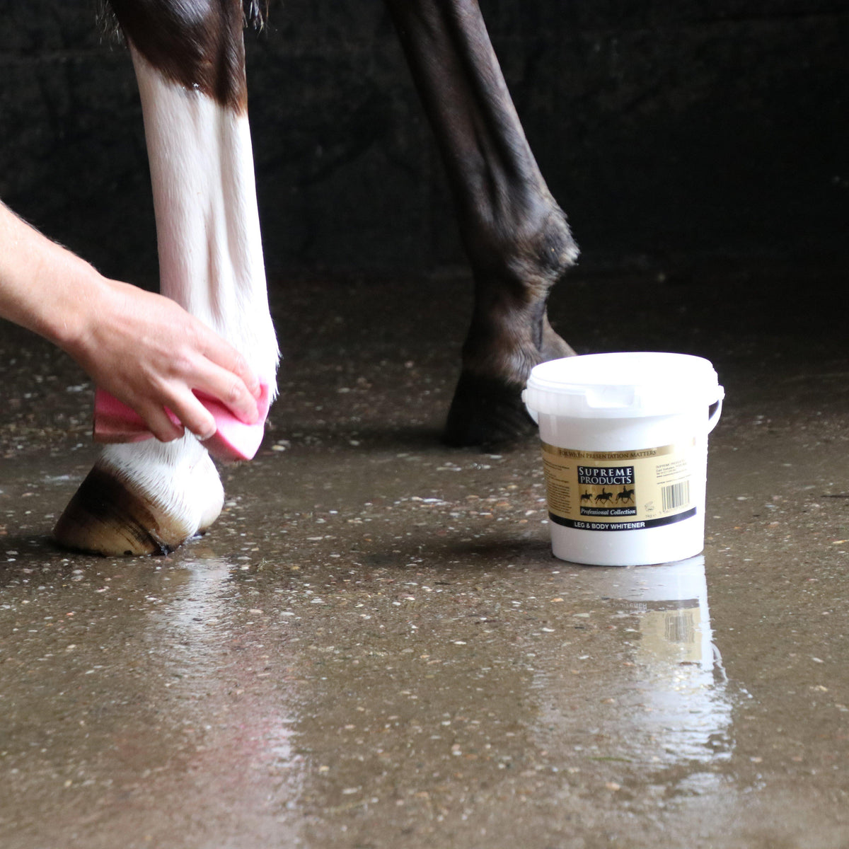 Leg and Body Whitener 2.5k
