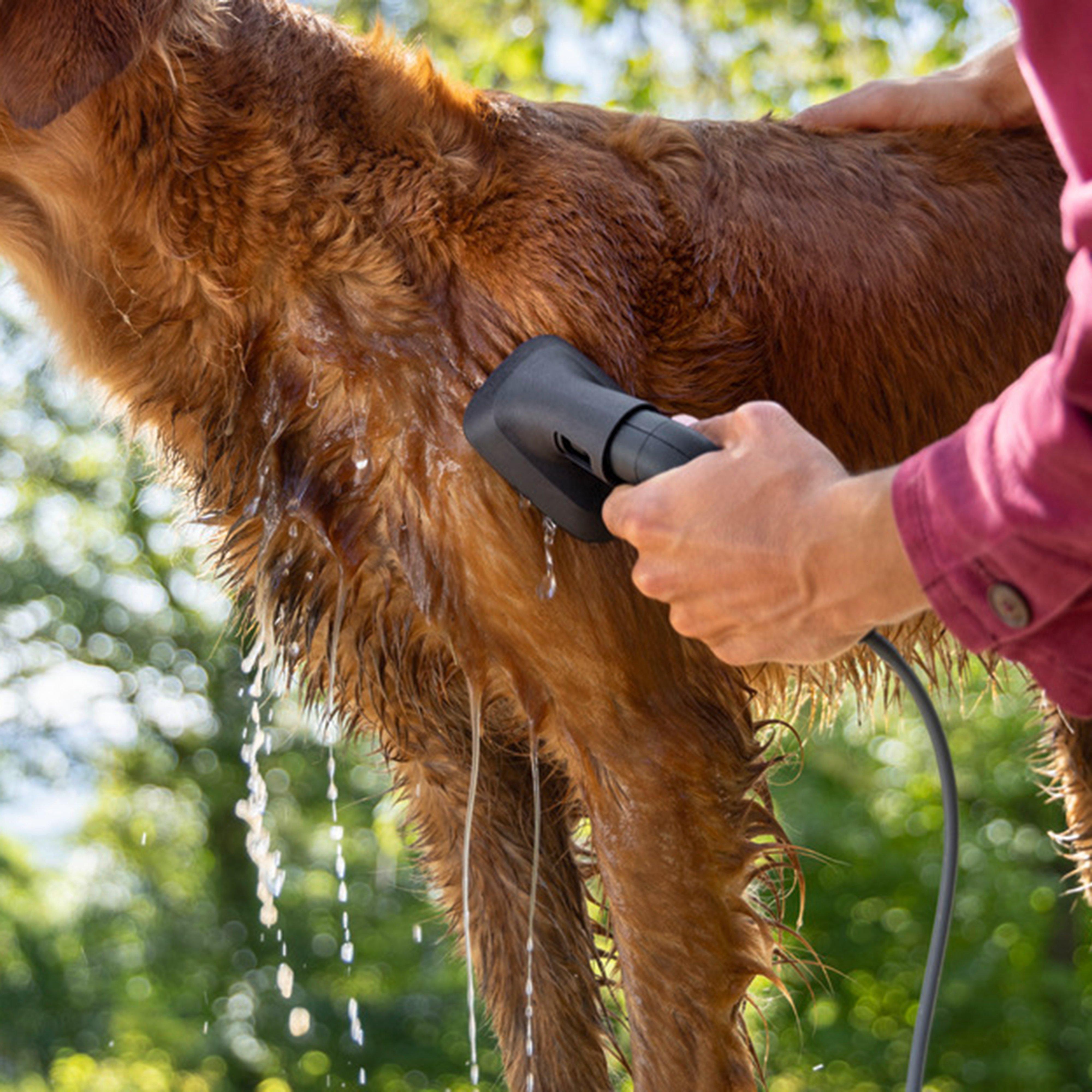 Pet Wash Brush