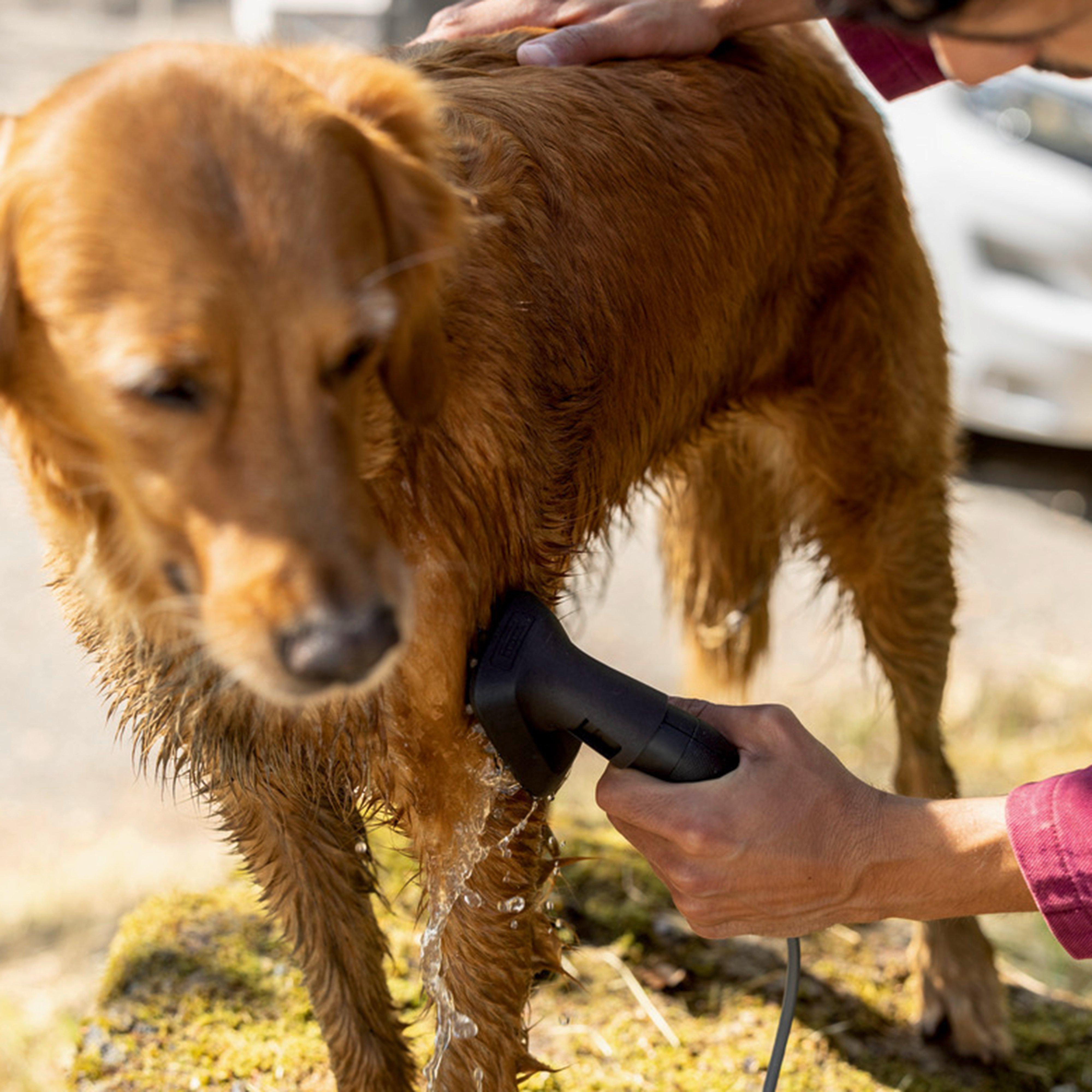 Pet Wash Brush