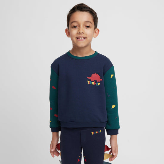 Kids' Dino Sweatshirt