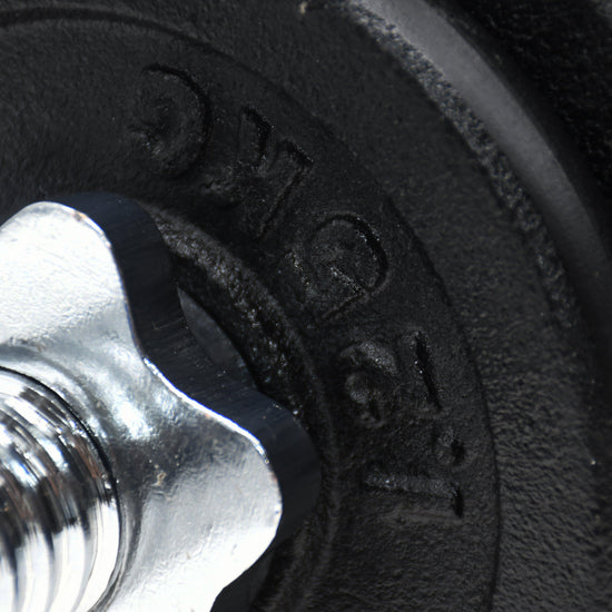 Cast Iron Dumbbell Set 20kg