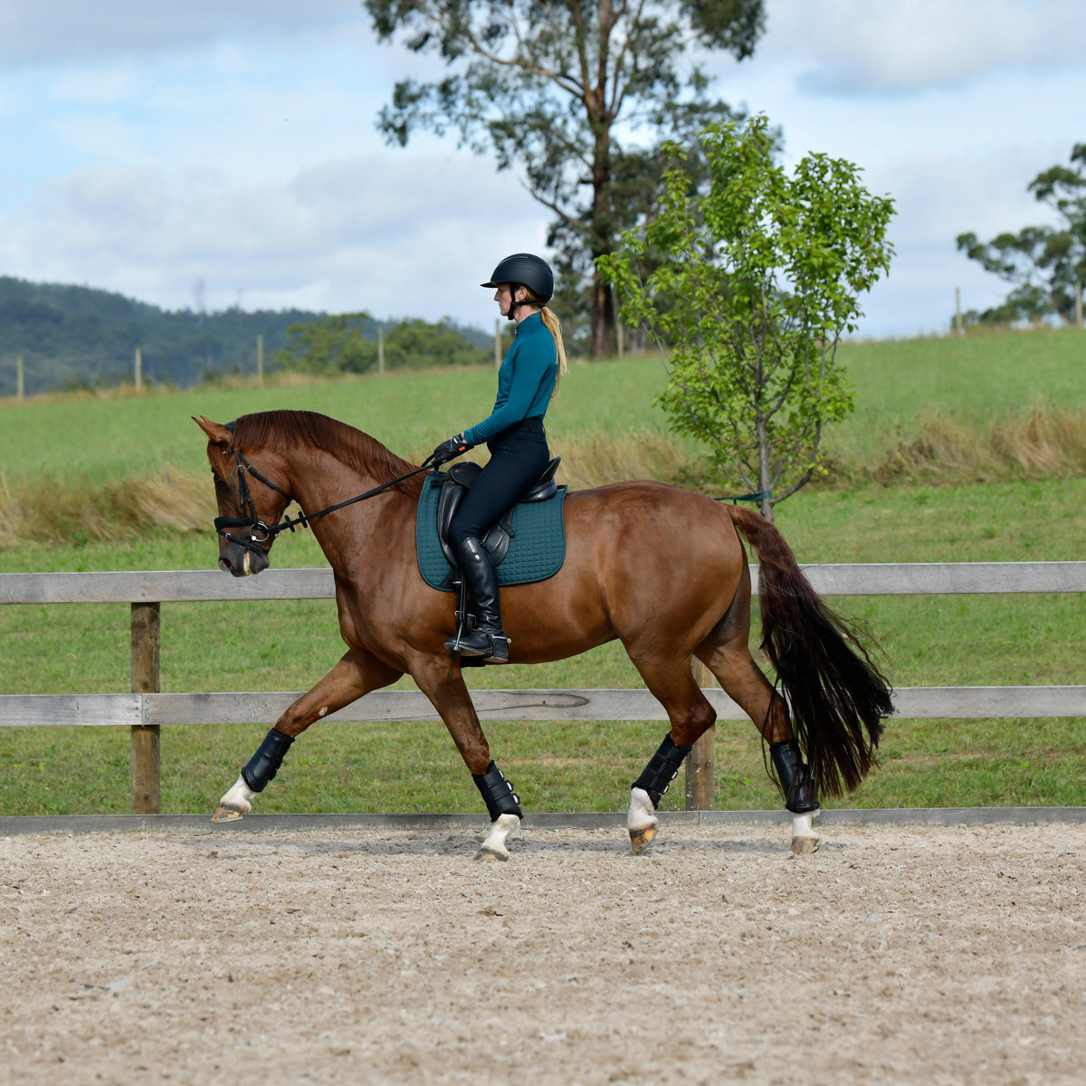 Prime Dressage Saddle Pad Reflecting Pond