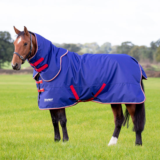 Tempest Original 100 Turnout Rug