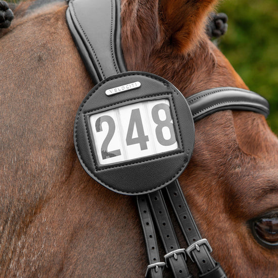 Bridle Number Holder