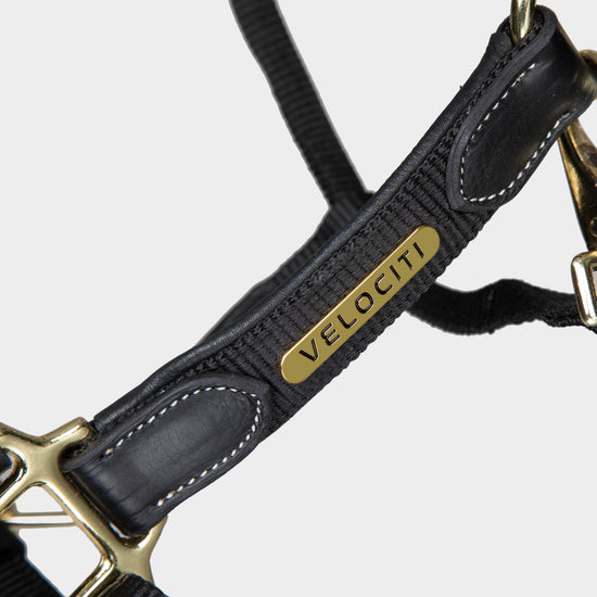 Velociti Lusso Padded Leather Headcollar