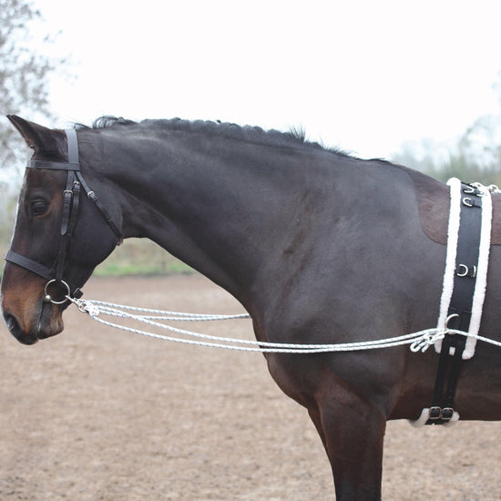Shires Lunging Training Aid System