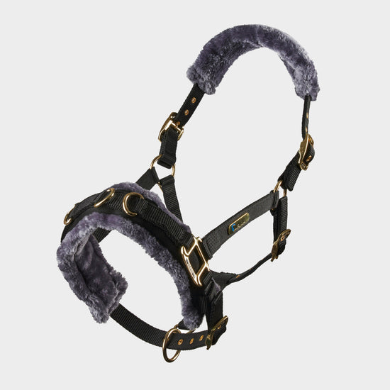 Fleece Lined Lunge Cavesson