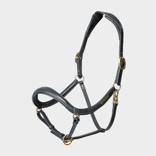 Rapida Curved Leather Headcollar Black