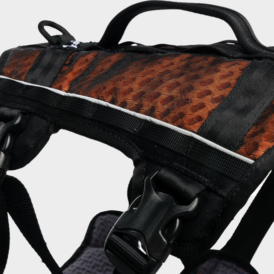 Rock Harness Long