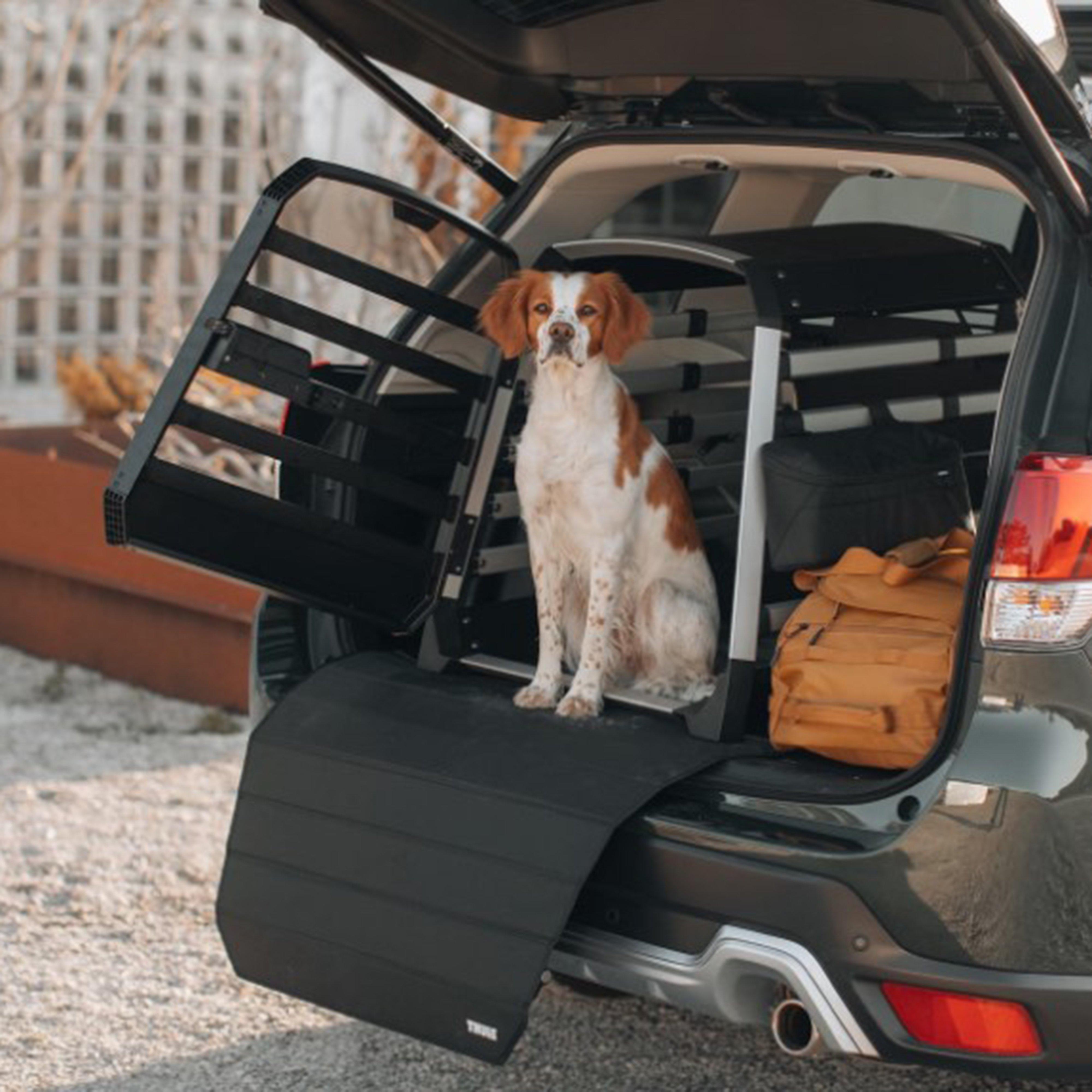 Allax Small Compact Dog Crate