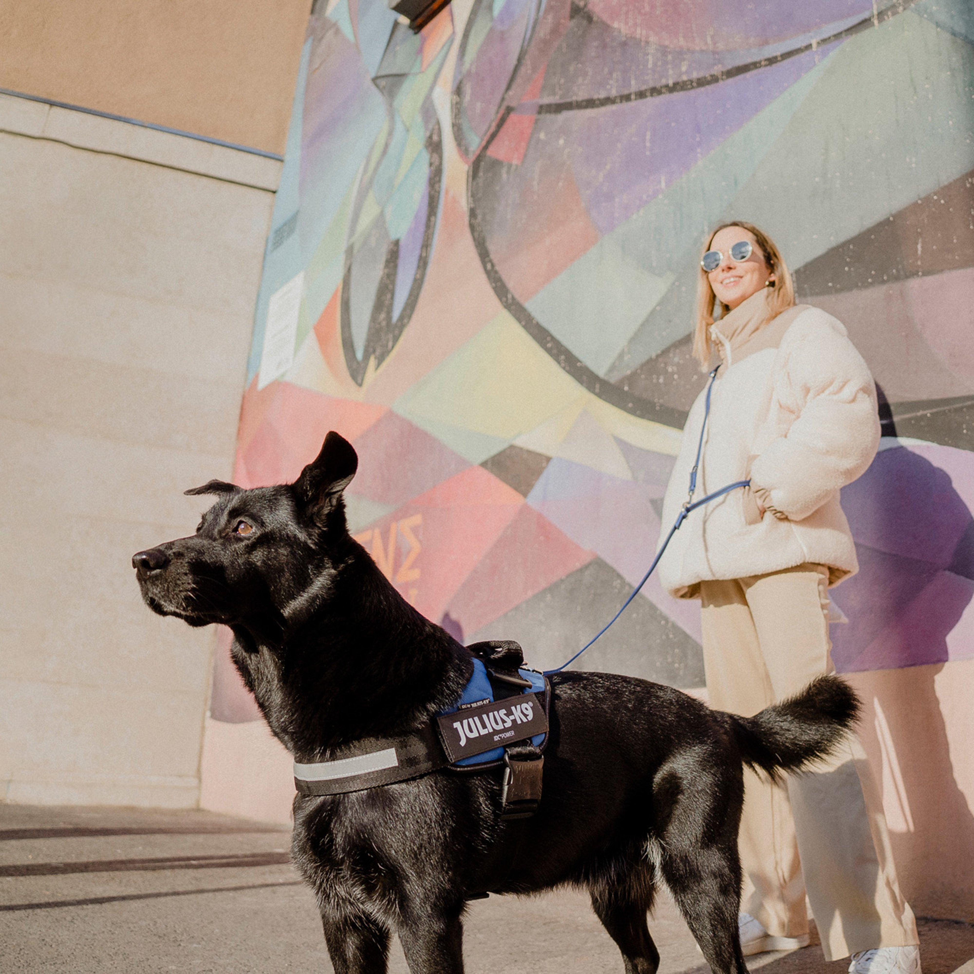 Original K9 Powerharness Size 1