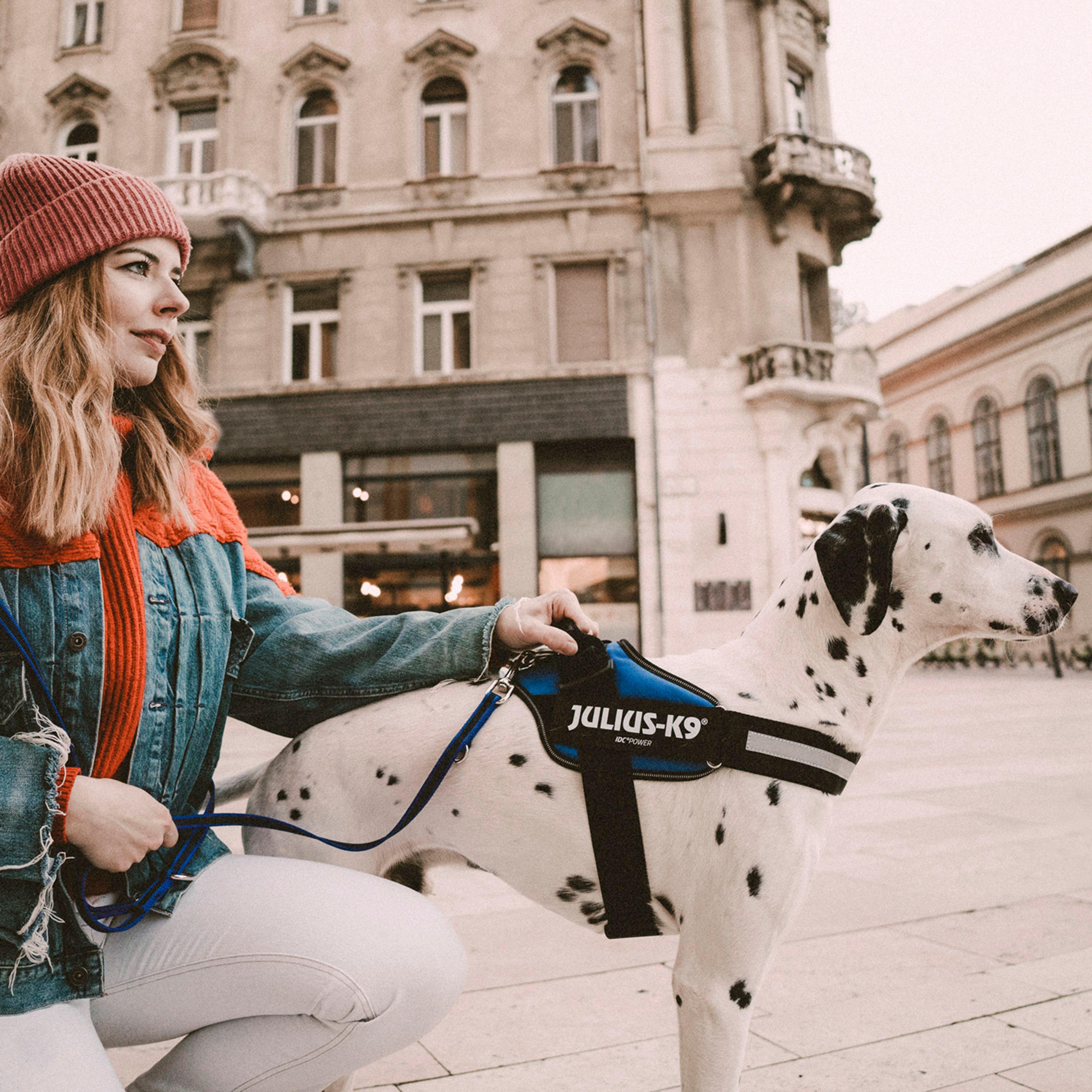 Original K9 Powerharness Size 1