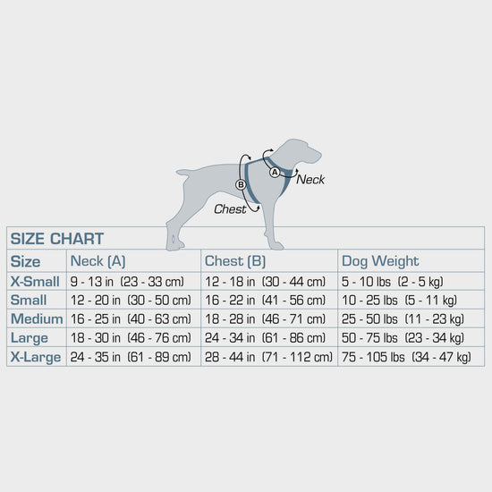 Enhanced Strength Tru-Fit Dog Car Harness
